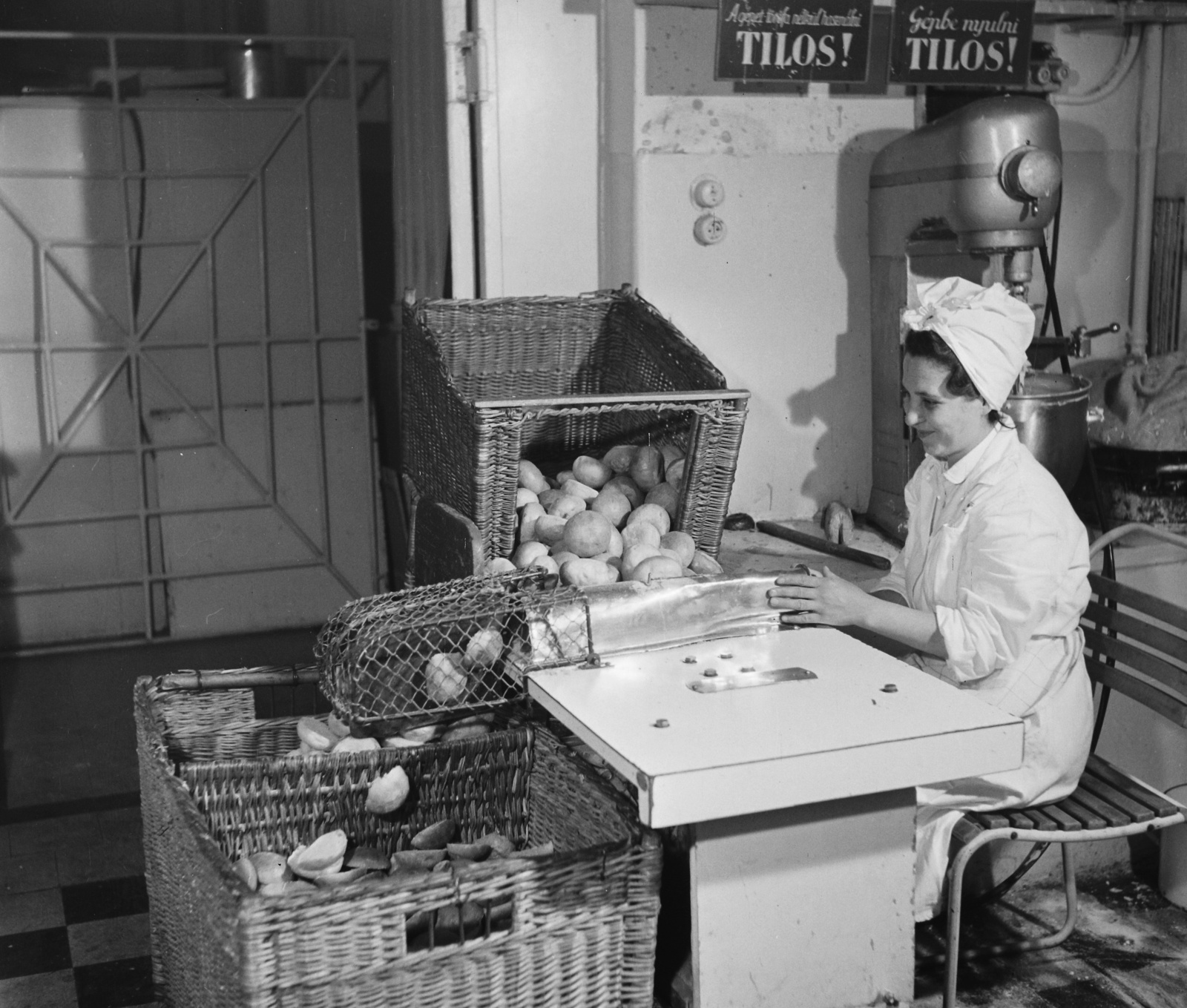 1960, Bauer Sándor, workplace, wickerwork, bakery, baking industry, Fortepan #113282