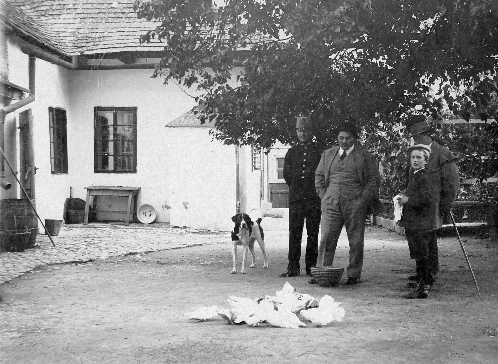 1917, Fortepan, village, dog, uniform, yard, men, bird, poultry, walking cane, kid, dove, hands in pockets, Fortepan #11368