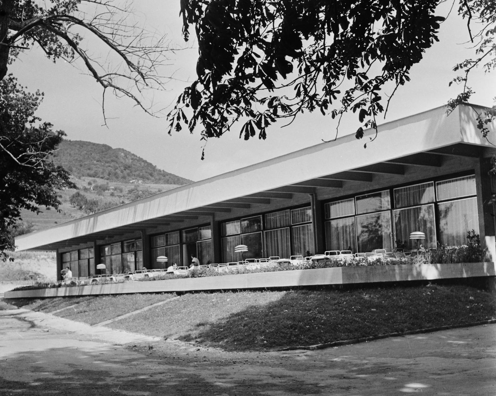 Hungary,Lake Balaton, Badacsonytomaj, Hableány étterem a vasútállomás mögötti parkban., 1964, Bauer Sándor, restaurant, Fortepan #113891