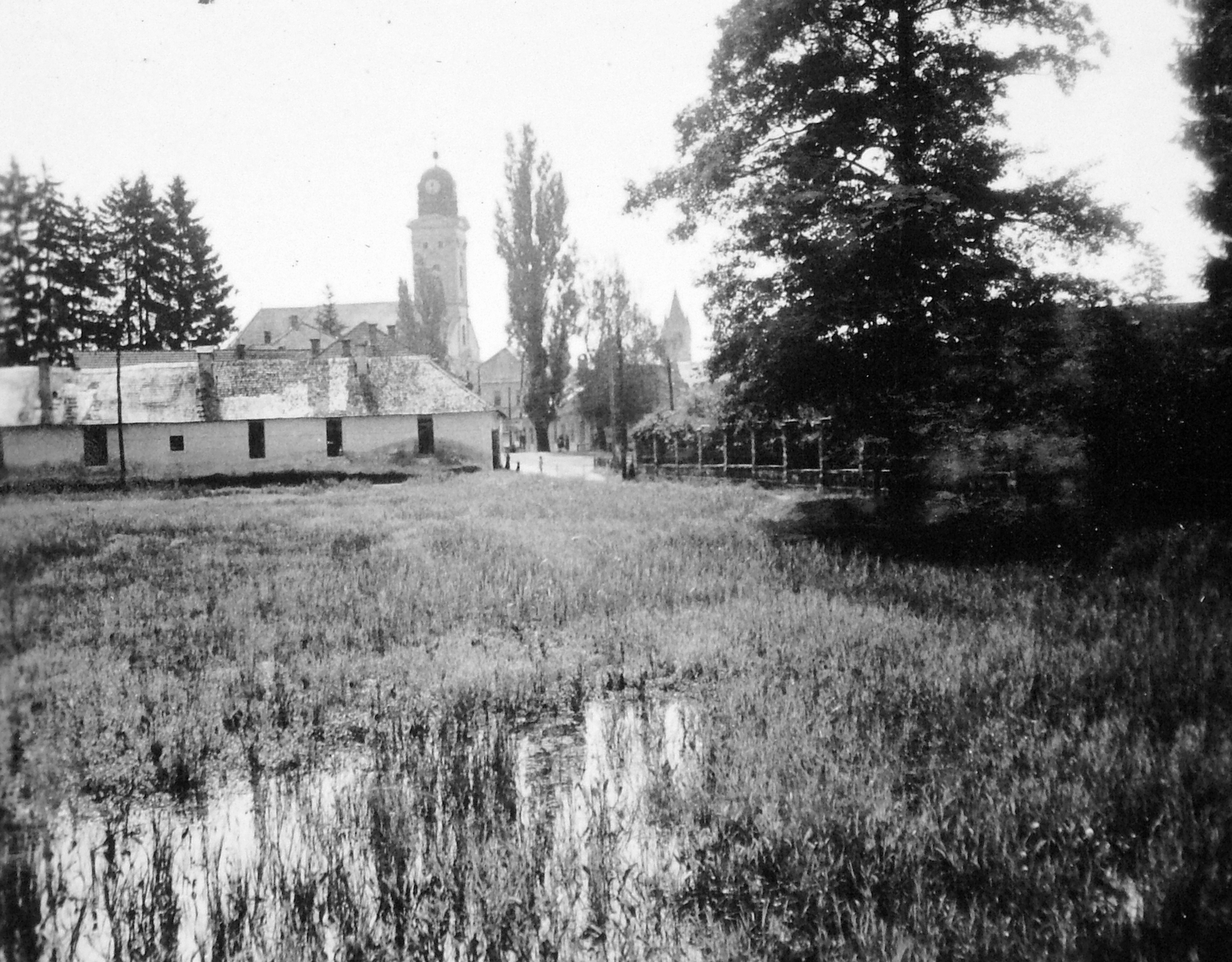 Romania,Transylvania, Baia Mare, a felvétel a mai Aleea Nicolae Grigorescu környéke felől készült, háttérben a református templom és a Szent István torony látszik., 1941, Gyöngyi, Fortepan #11391