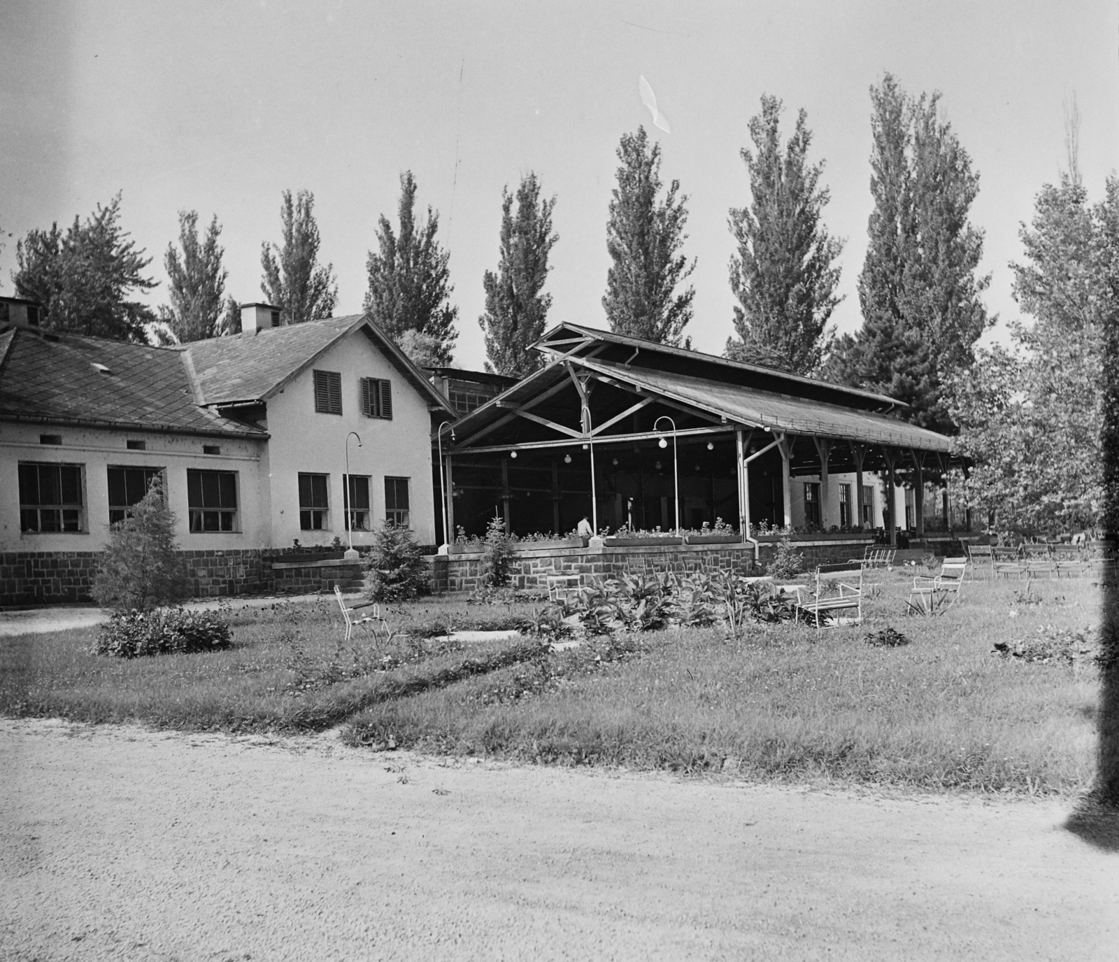 1959, Bauer Sándor, terrace, fir trees, bench, fir, Fortepan #114016