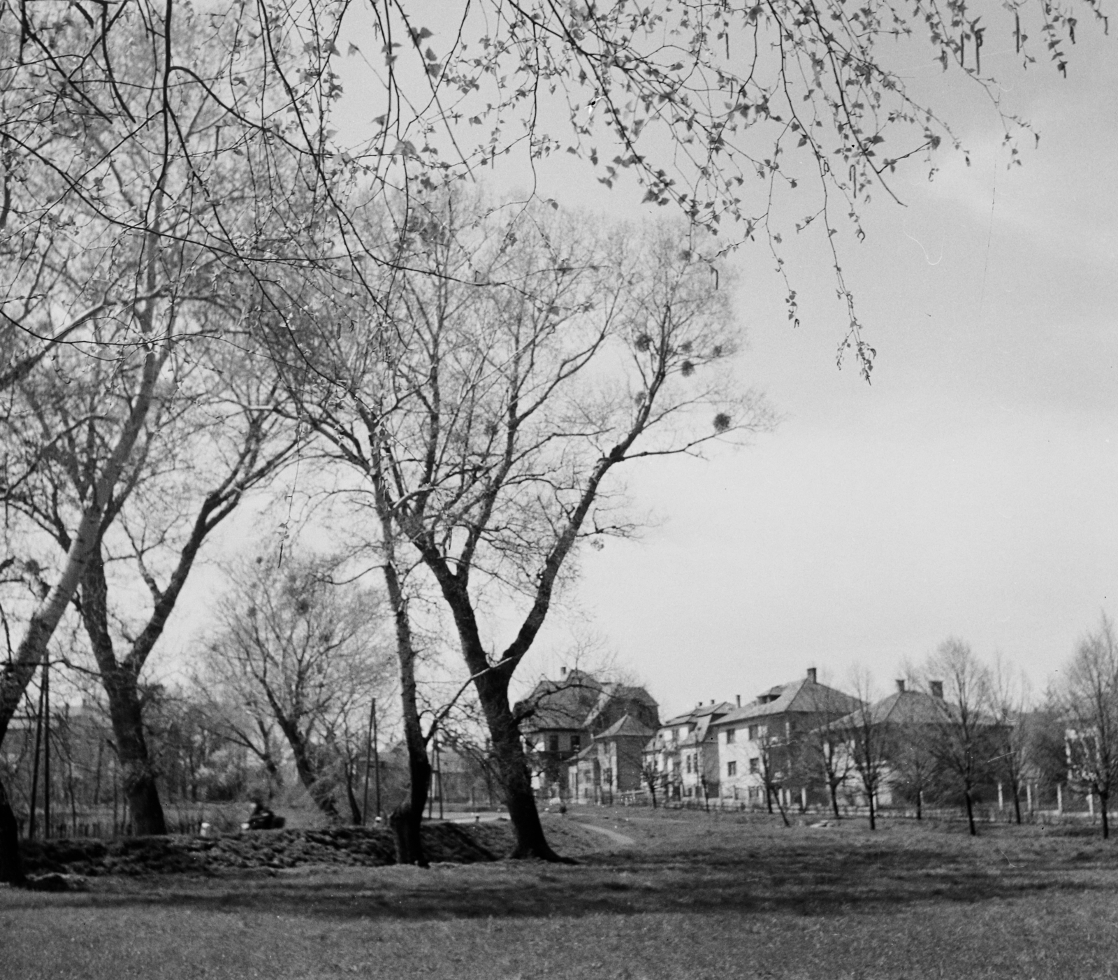 Magyarország, Keszthely, jobbra a Munkácsy Mihály utca házai, távolabb a Zrínyi Miklós utca sarkon álló magasabb ház látszik., 1959, Bauer Sándor, utcakép, Fortepan #114092