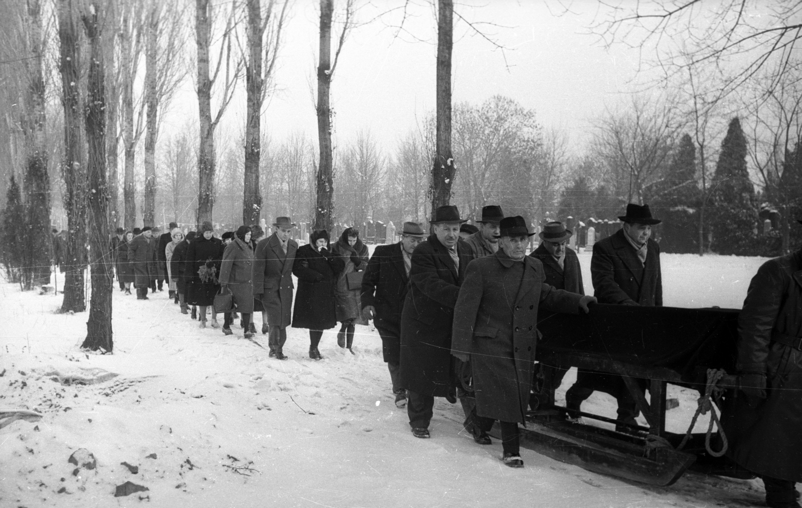 Hungary, Budapest X., Kozma utcai izraelita temető., 1960, Bauer Sándor, Budapest, funeral procession, Fortepan #114430