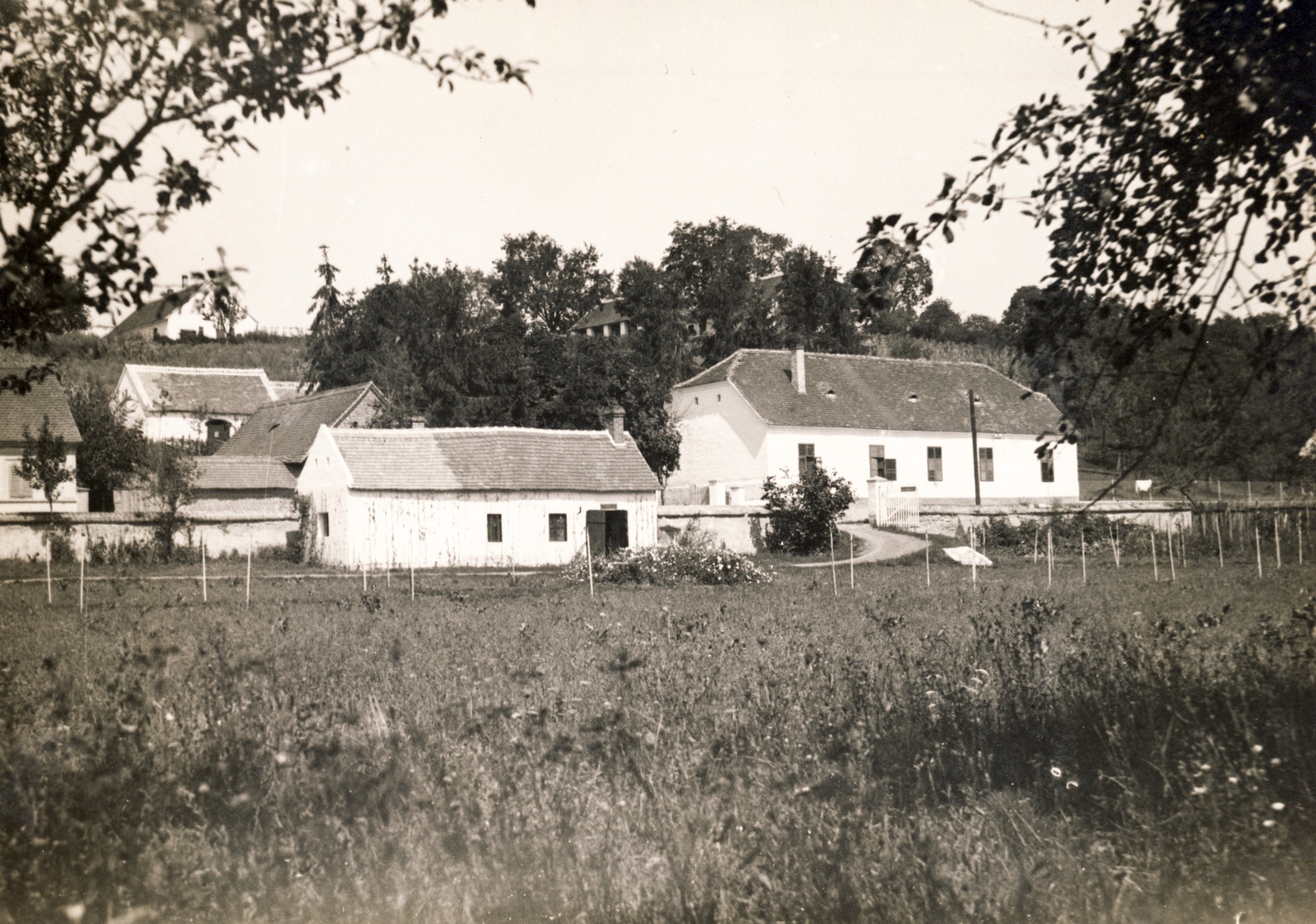 Magyarország, Bükkösd, Szentdomján, Buzinkay János gazdasága., 1939, Buzinkay Géza, Fortepan #114603