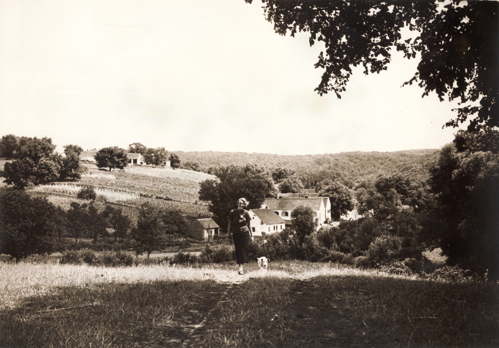 Hungary, Bükkösd, Szentdomján., 1939, Buzinkay Géza, hillside, walk, dog, path, Fortepan #114610