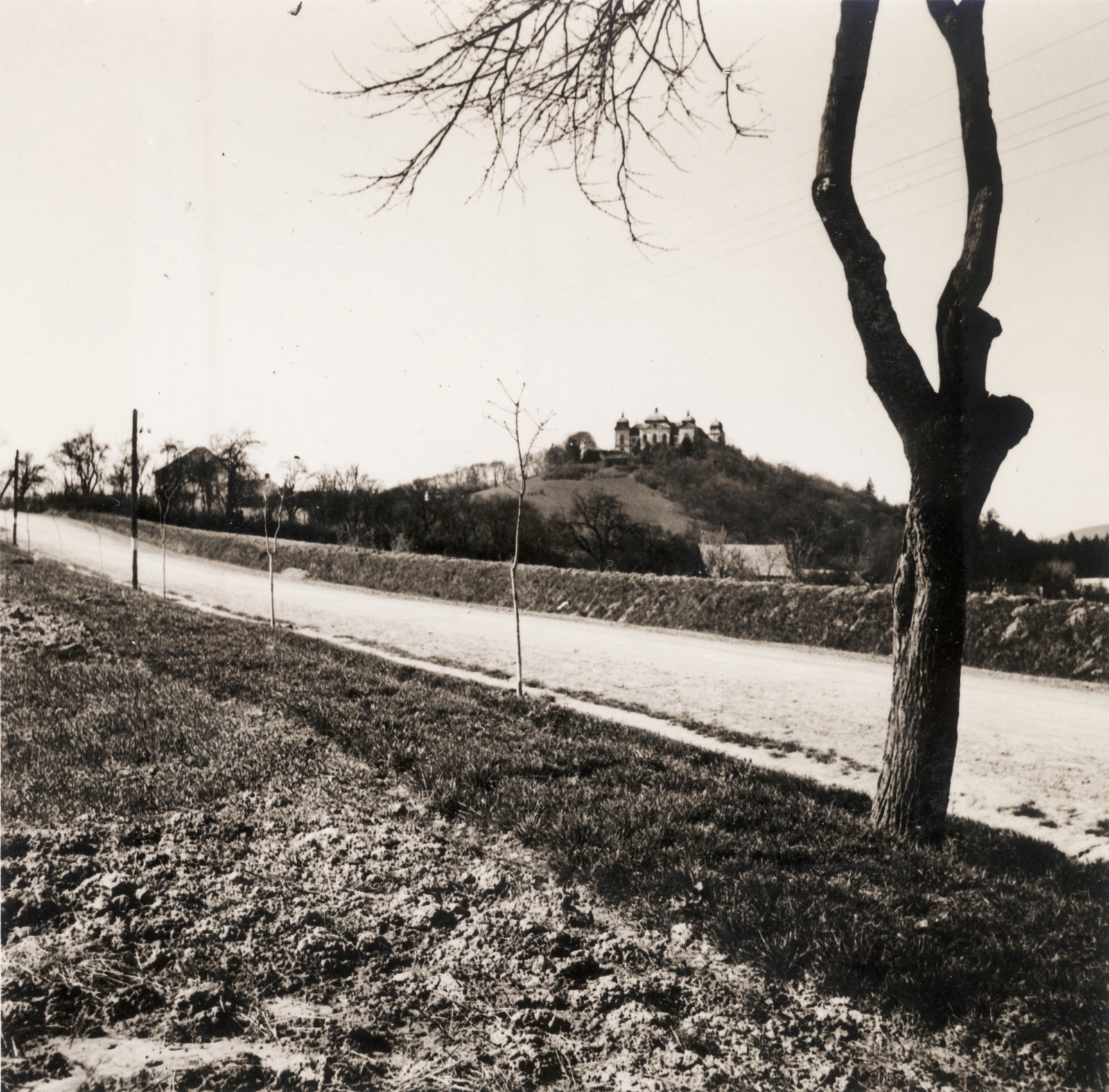 Slovakia, Halič, ulica Mieru, háttérben a várkastély (ekkor Forgách Antal tulajdona)., 1939, Buzinkay Géza, road, Fortepan #114641