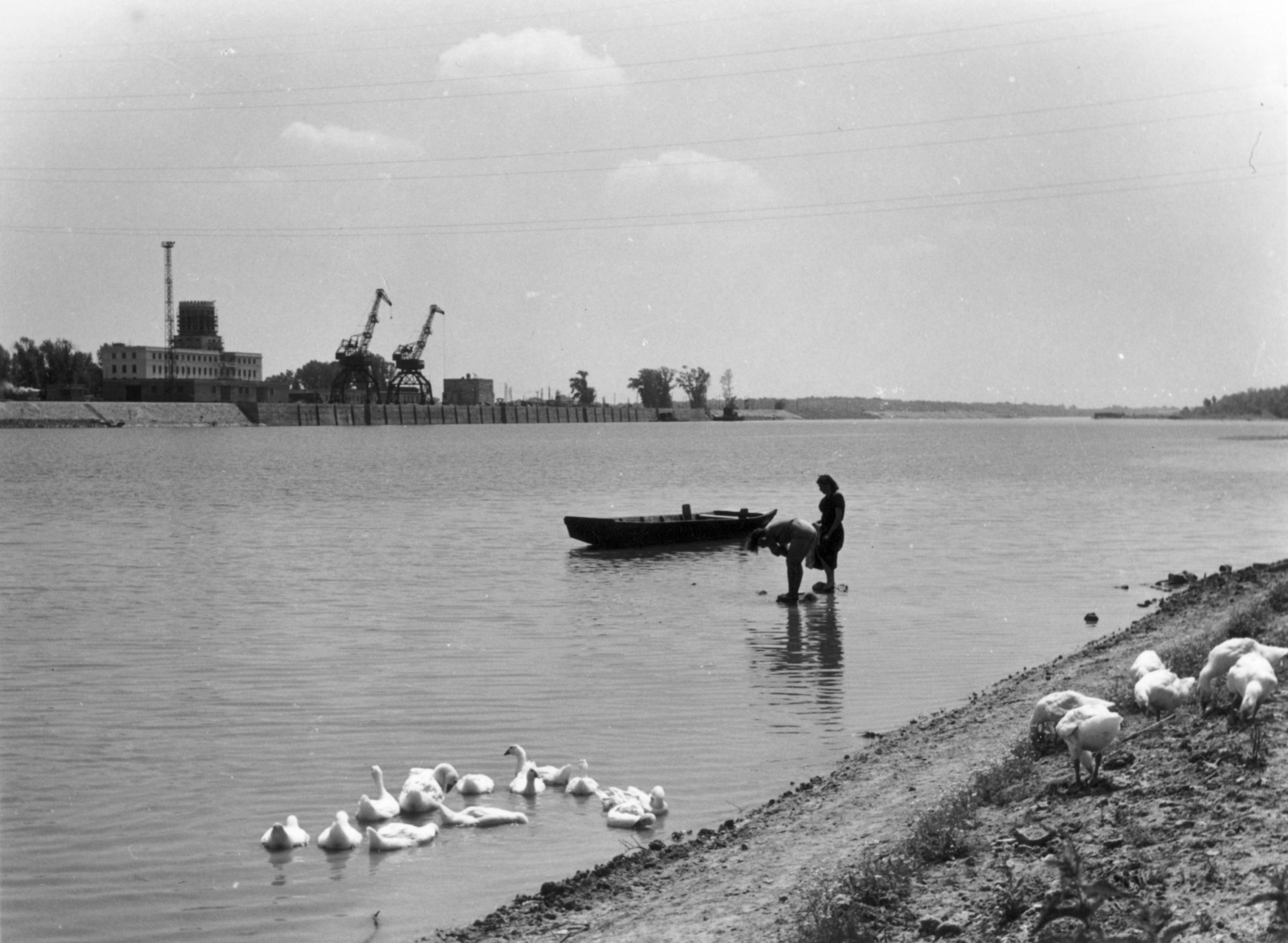 Magyarország, Dunaújváros, (Sztálinváros), szemben a Szalki-sziget, a felvétel a kikötő építésekor készült., 1953, Gallai Sándor, építkezés, daru, kacsa, kikötő, Fortepan #114716