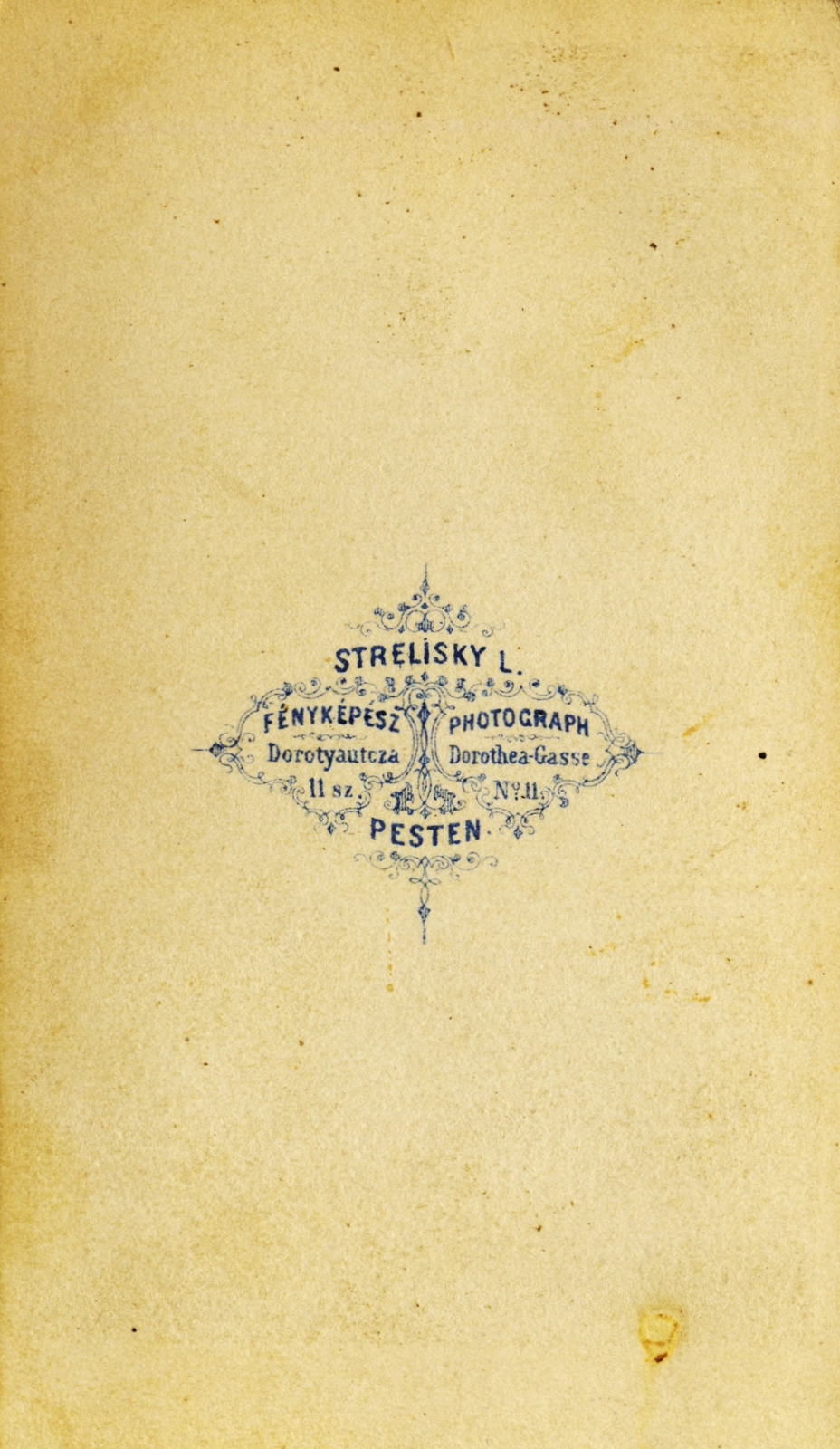 Magyarország, Budapest V., Dorottya utca 11., Strelisky Lipót fényképész., 1909, Fortepan, műterem, fényképész, hátlap, Budapest, Fortepan #114776