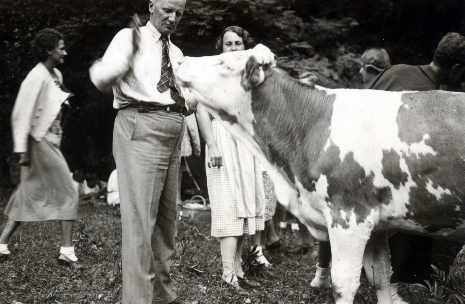 1939, Martinez Judit, cattle, picnic, gentleman, Fortepan #115344