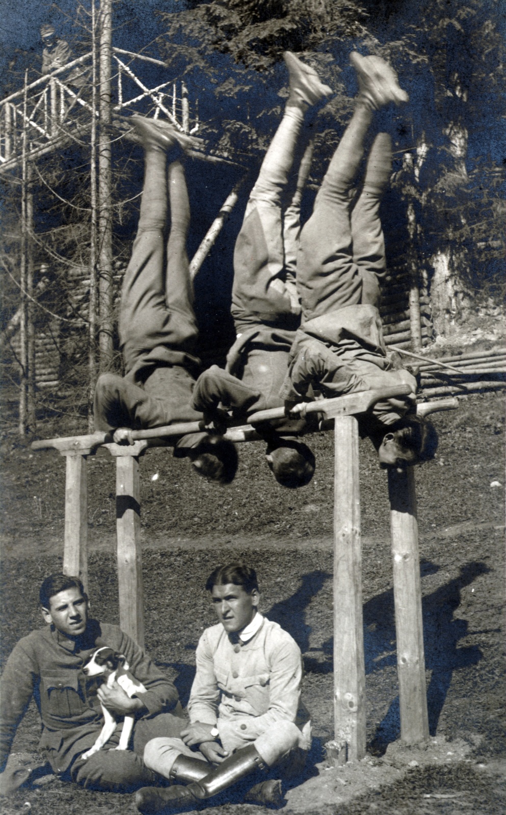 1915, Schmal Alexandra, First World War, dog, feat, Exercise Equipment, handstand, Fortepan #115554