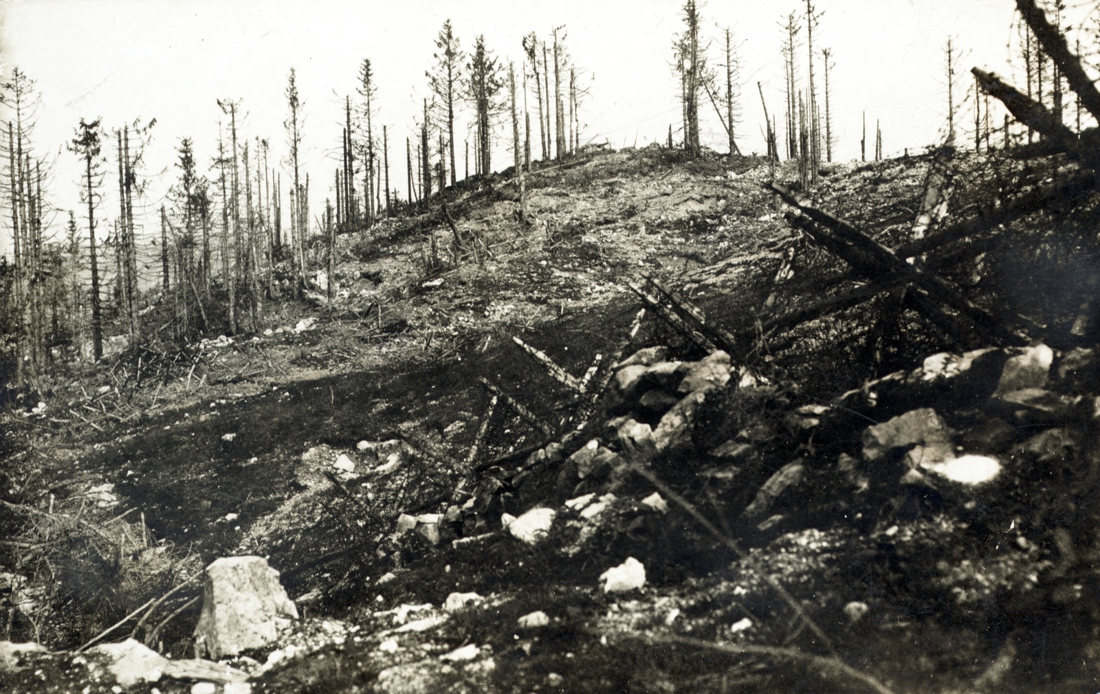 1915, Schmal Alexandra, First World War, hillside, wire obstacle, Fortepan #115555