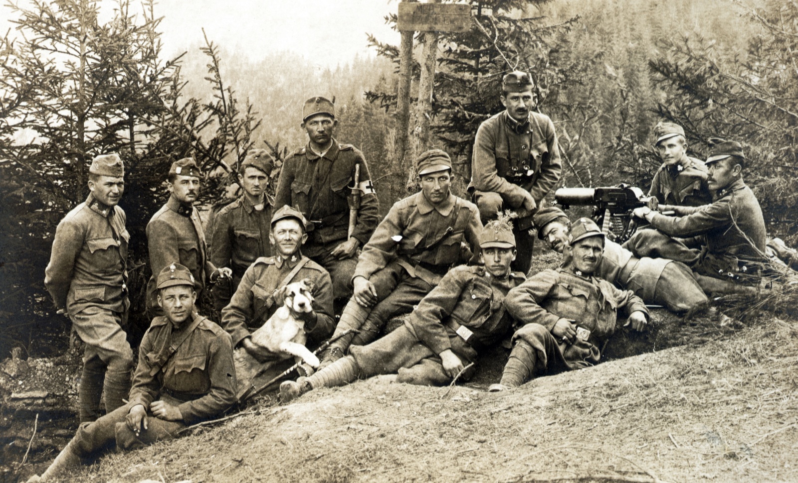 1915, Schmal Alexandra, First World War, dog, machine gun, Fortepan #115559