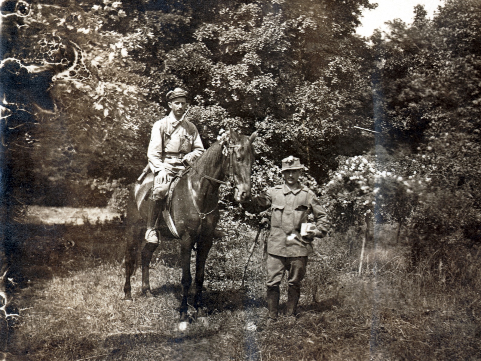 1915, Schmal Alexandra, First World War, rider, Fortepan #115599