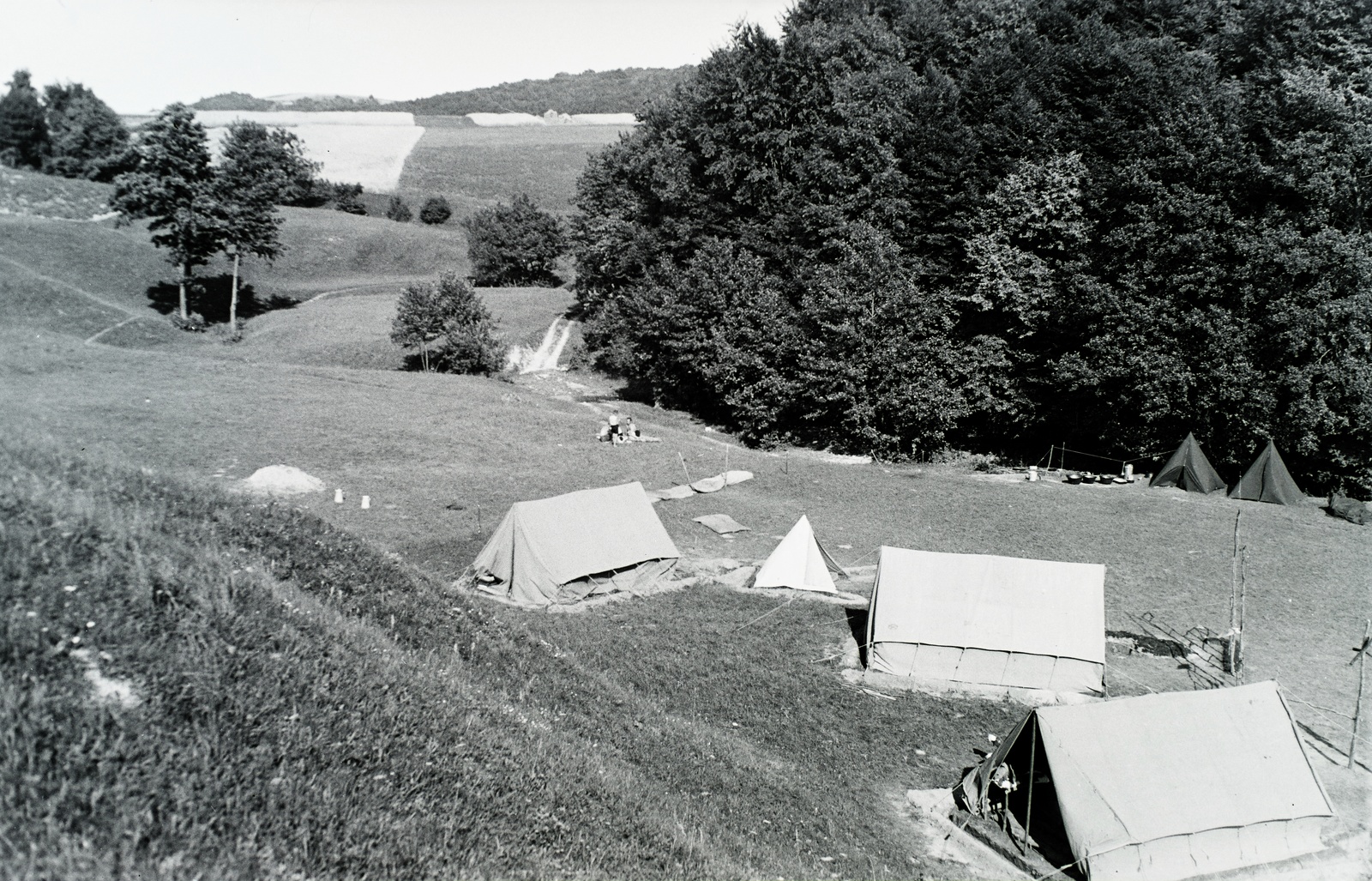 1939, Széman György, sátortábor, Fortepan #115677