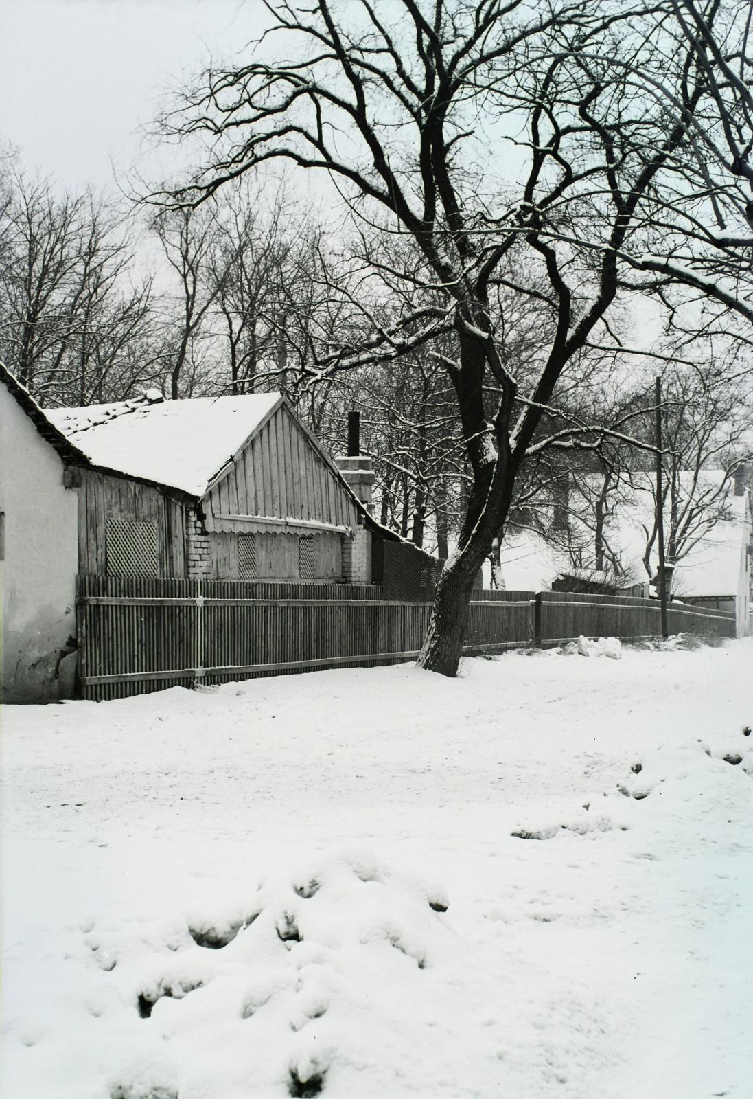 1934, Széman György, Fortepan #115725