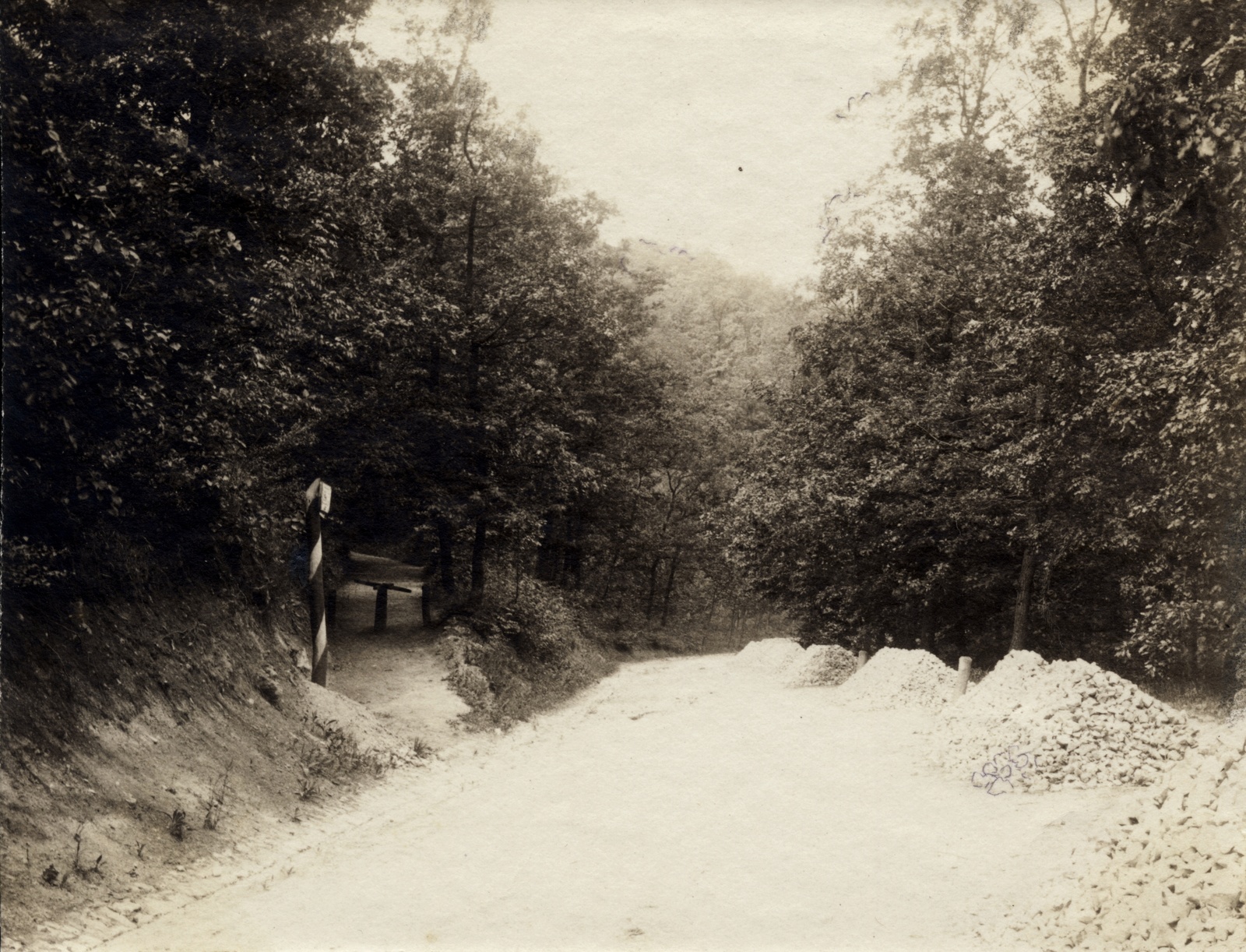 Hungary, Budapest XII., Jánoshegyi út a Tündérhegyi út torkolata közelében., 1906, Széman György, Budapest, Fortepan #115816