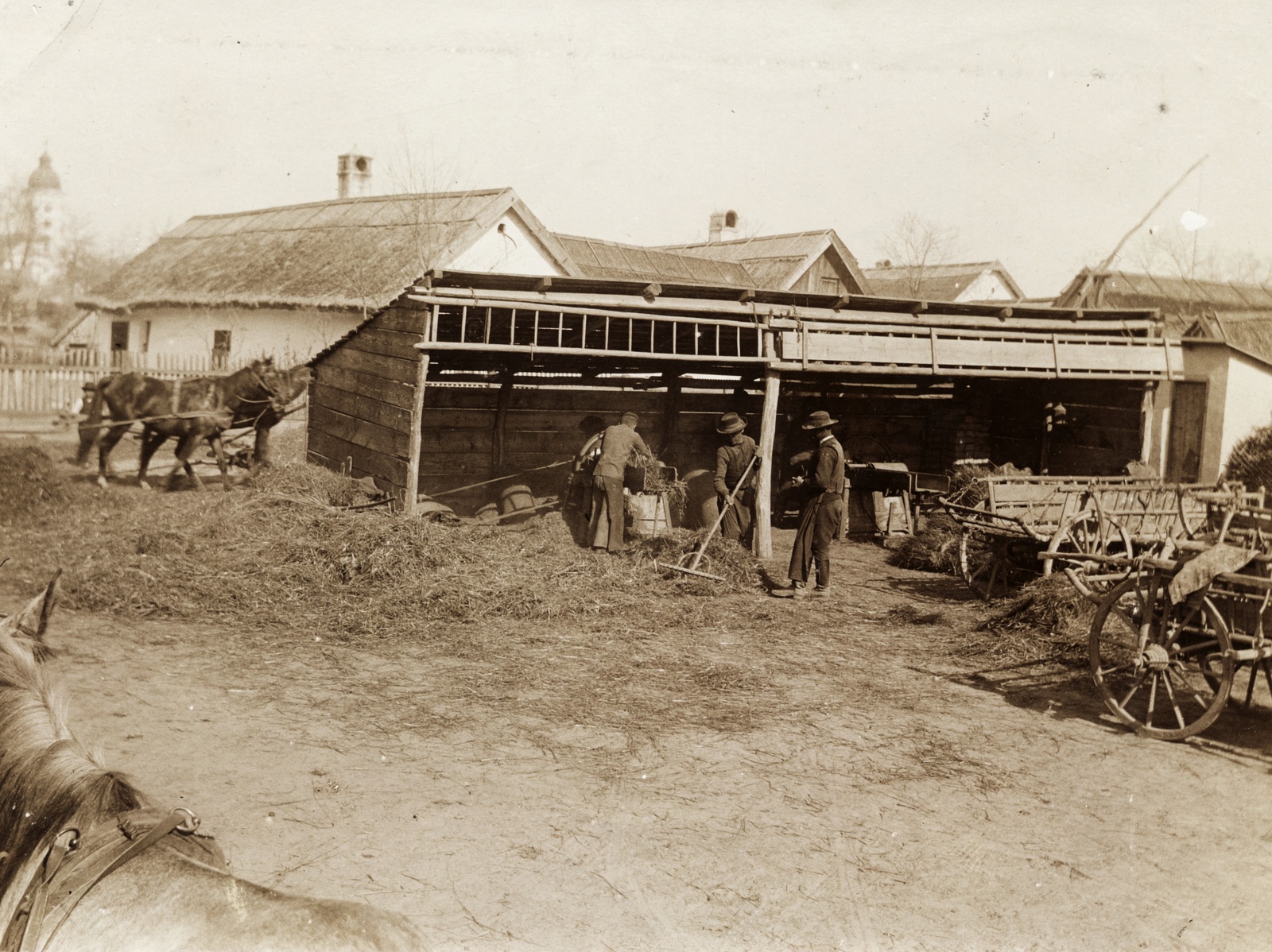 Hungary, Dunavecse, háttérben balra a református templom., 1906, Széman György, chariot, hay, horse, Fortepan #115817