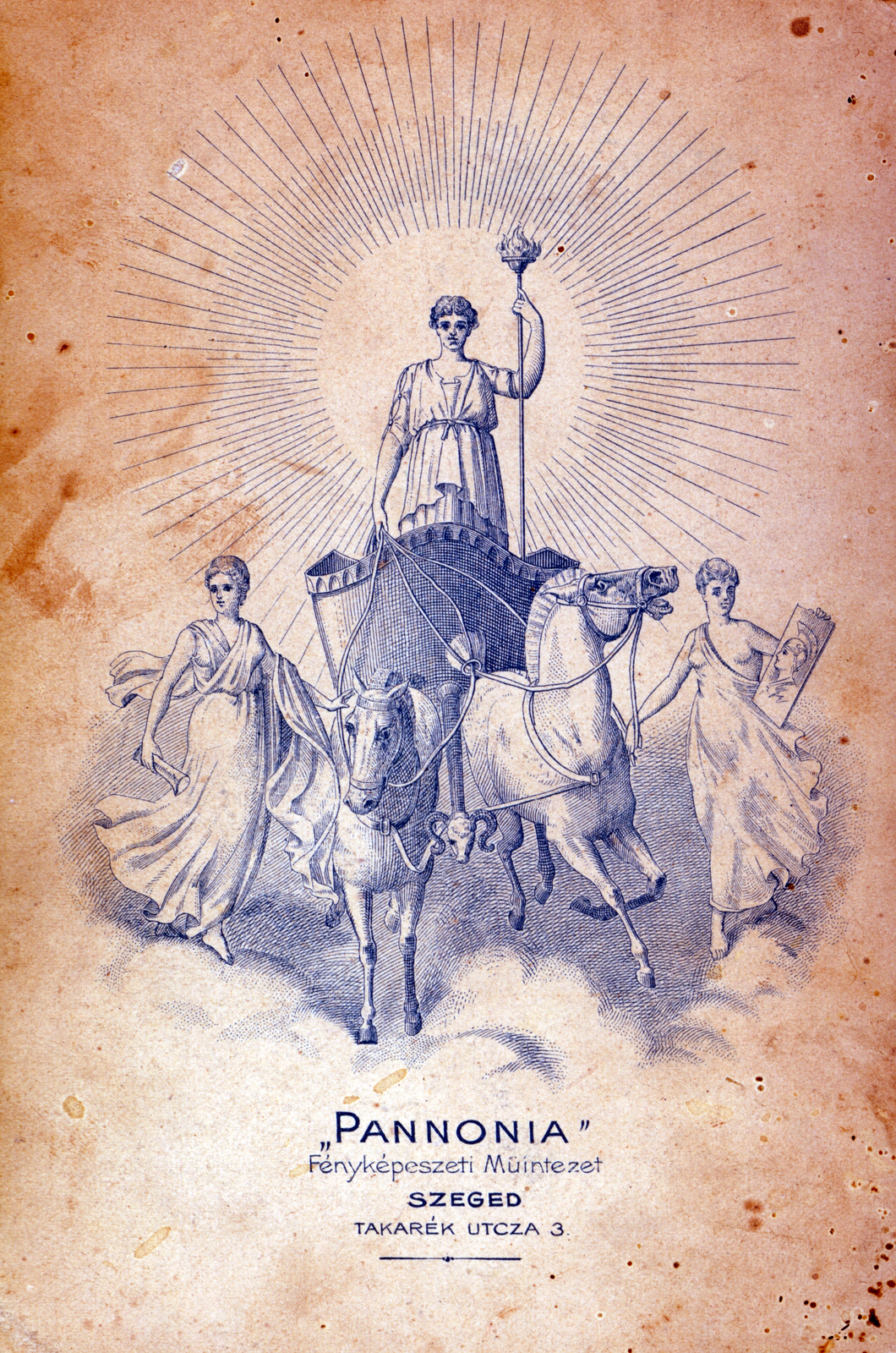 Magyarország, Szeged, Takarék utca 3. Pannonia Fényképészeti műintézet., 1910, Holló Krisztina, ló, hintó, műterem, fényképész, hátlap, rézkarc, Fortepan #116011