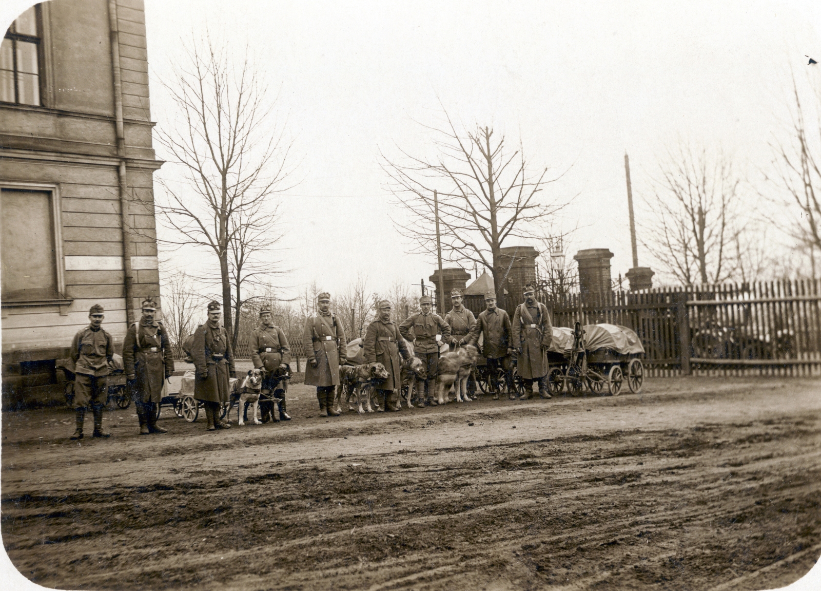 1915, Visnyovszky Éva, First World War, dog, soldier, dog cart, Fortepan #116279