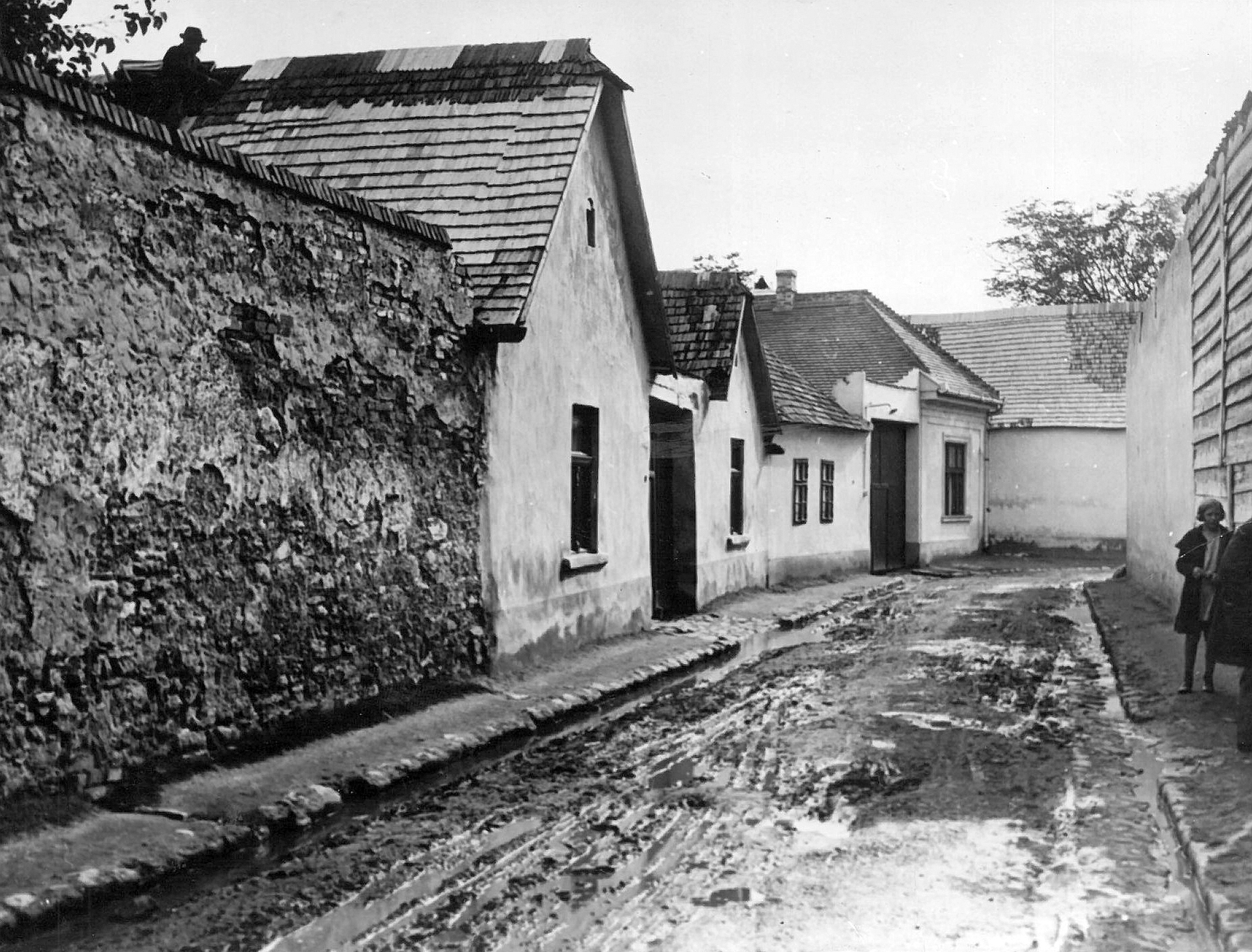 Hungary, Óbuda, Budapest III., Gyűrű utca., 1930, Pap Zsigmond György, street view, mud, Budapest, Fortepan #116313