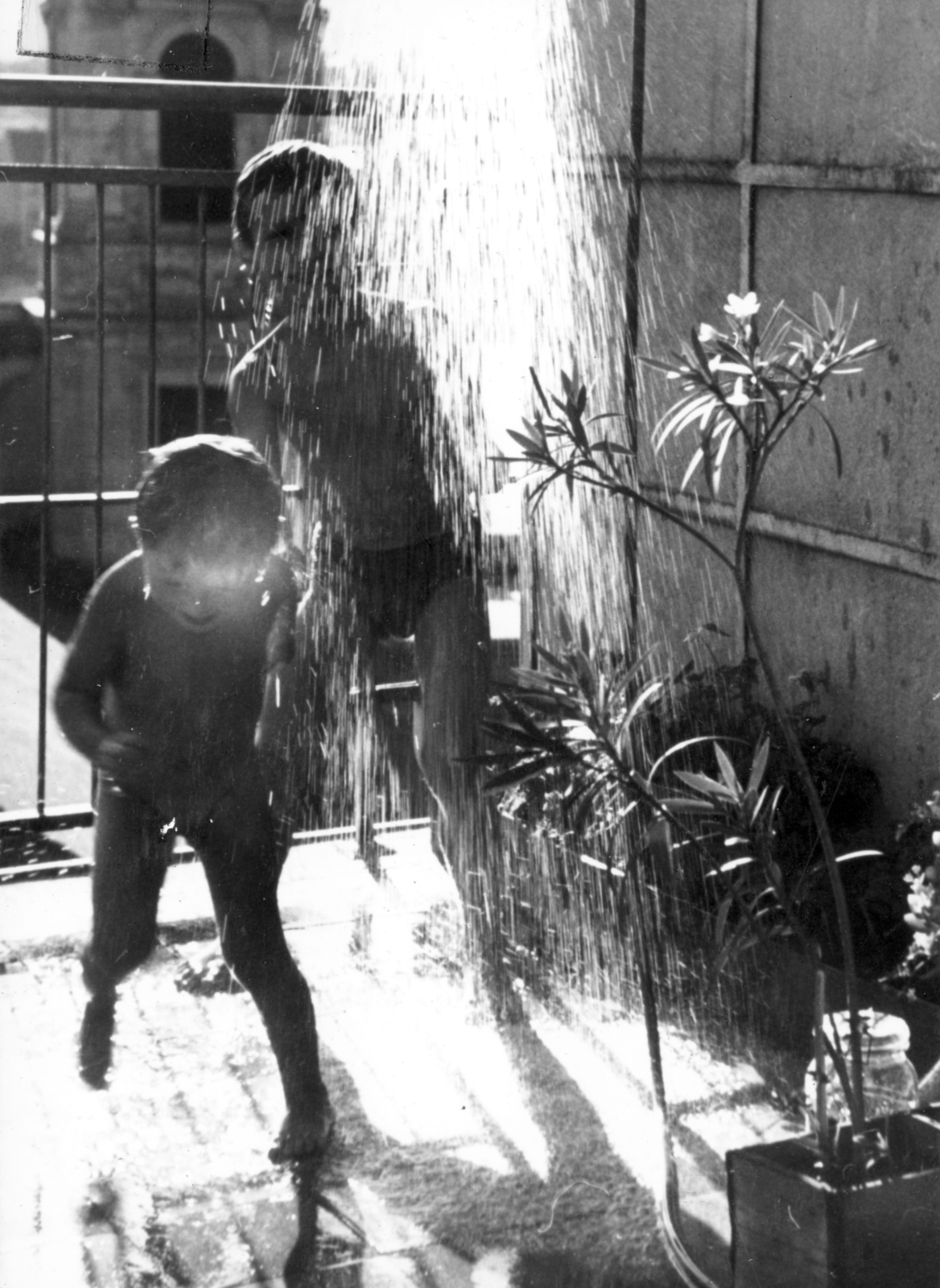 Hungary, Budapest V., Galamb utca 5., 1956, Vojnich Pál, Budapest, kids, terrace, oleander, shower, Fortepan #116632