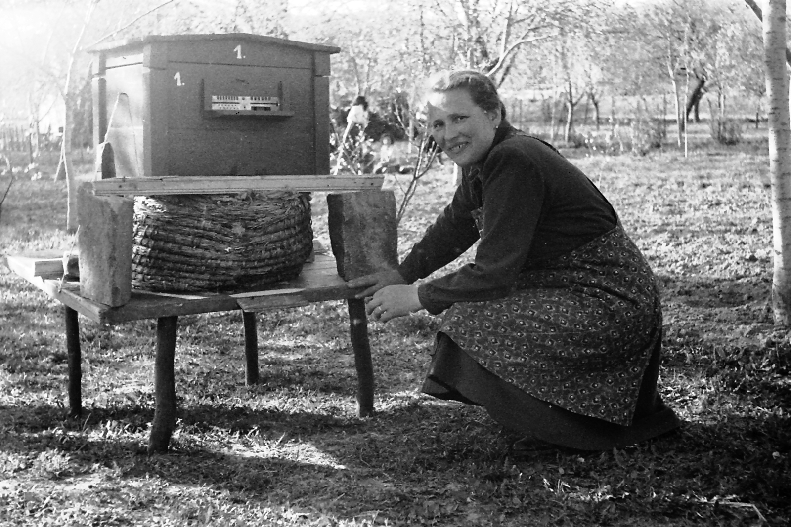 1950, Jászai Sándor, apiary, Fortepan #116748