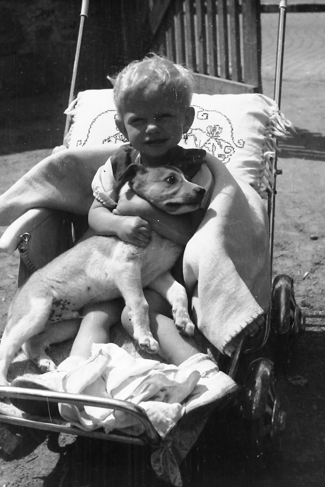 1952, Jászai Sándor, dog, kid, baby carriage, Fortepan #116760