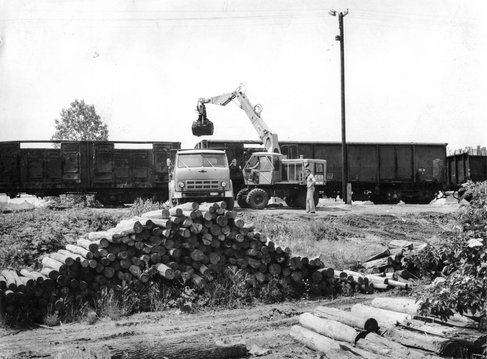 1979, Szűcs Róbert, tractor, coach, Maz-brand, Fortepan #116768