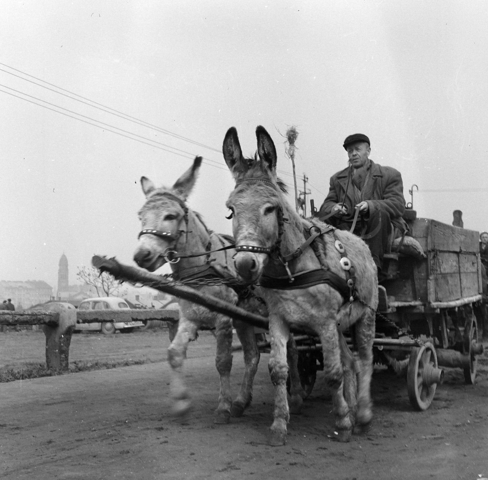 Magyarország, Budapest IX., Haller téri lóvásár a Mester utca - Vágóhíd utca környéki területen. Balra a háttérben Haller utca sarkánál lévő Páli Szent Vince-templom tornya látható., 1958, FSZEK Budapest Gyűjtemény / Sándor György, Sándor György, szekér, szamár, Budapest, képarány: négyzetes, Fortepan #116803