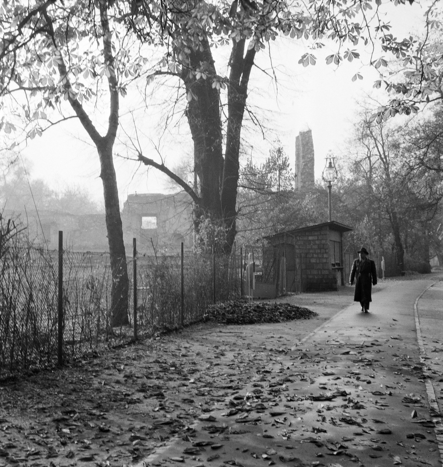 Magyarország, Margitsziget, Budapest, háttérben a kolostorrom., 1958, FSZEK Budapest Gyűjtemény / Sándor György, Sándor György, képarány: négyzetes, Fortepan #116838