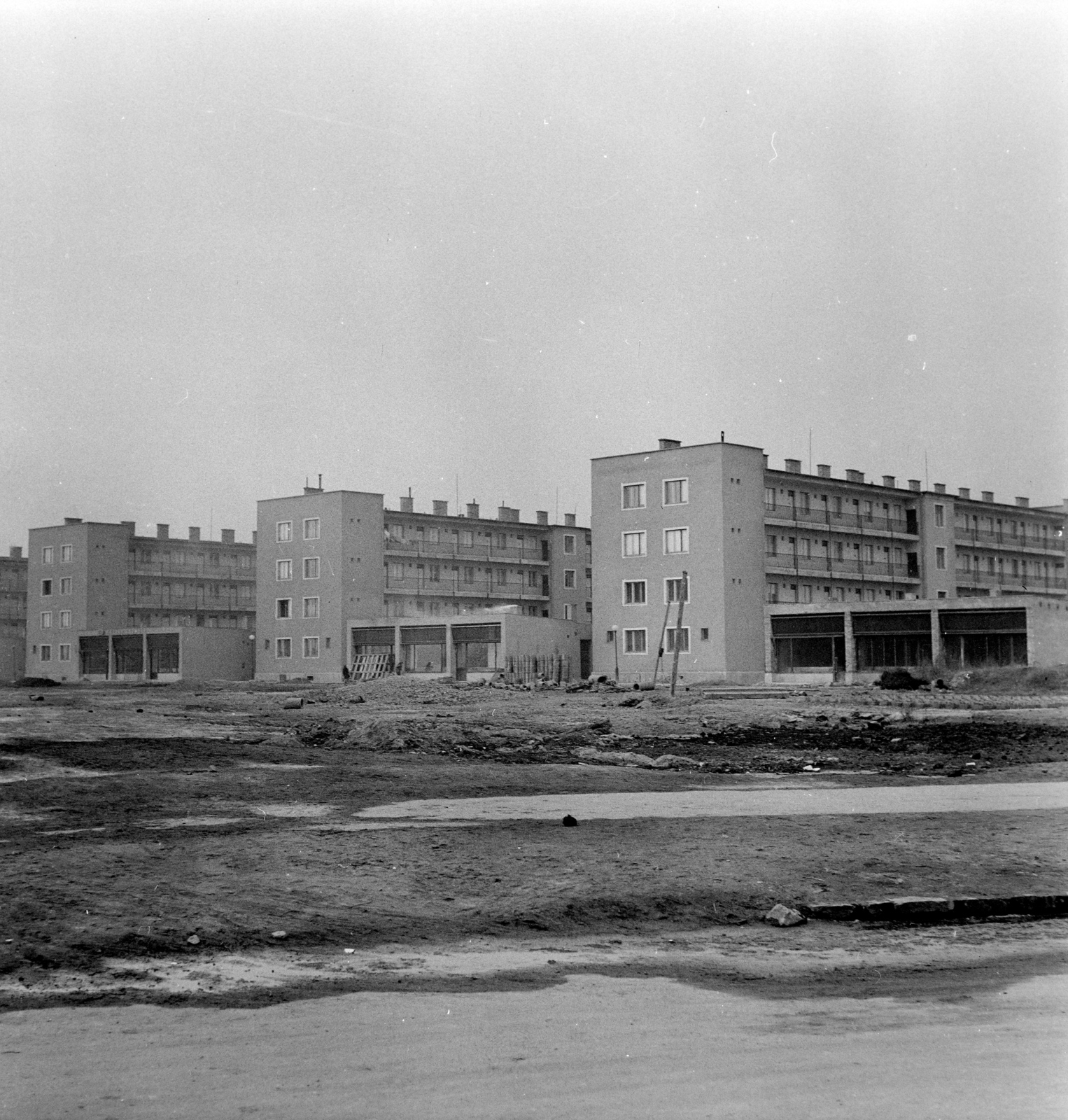 Magyarország, Budapest XXI., Csepel, Csillagtelep, Vénusz (780.) utca házsora a Szabadság utca felől nézve., 1959, FSZEK Budapest Gyűjtemény / Sándor György, Sándor György, Budapest, Fortepan #116860