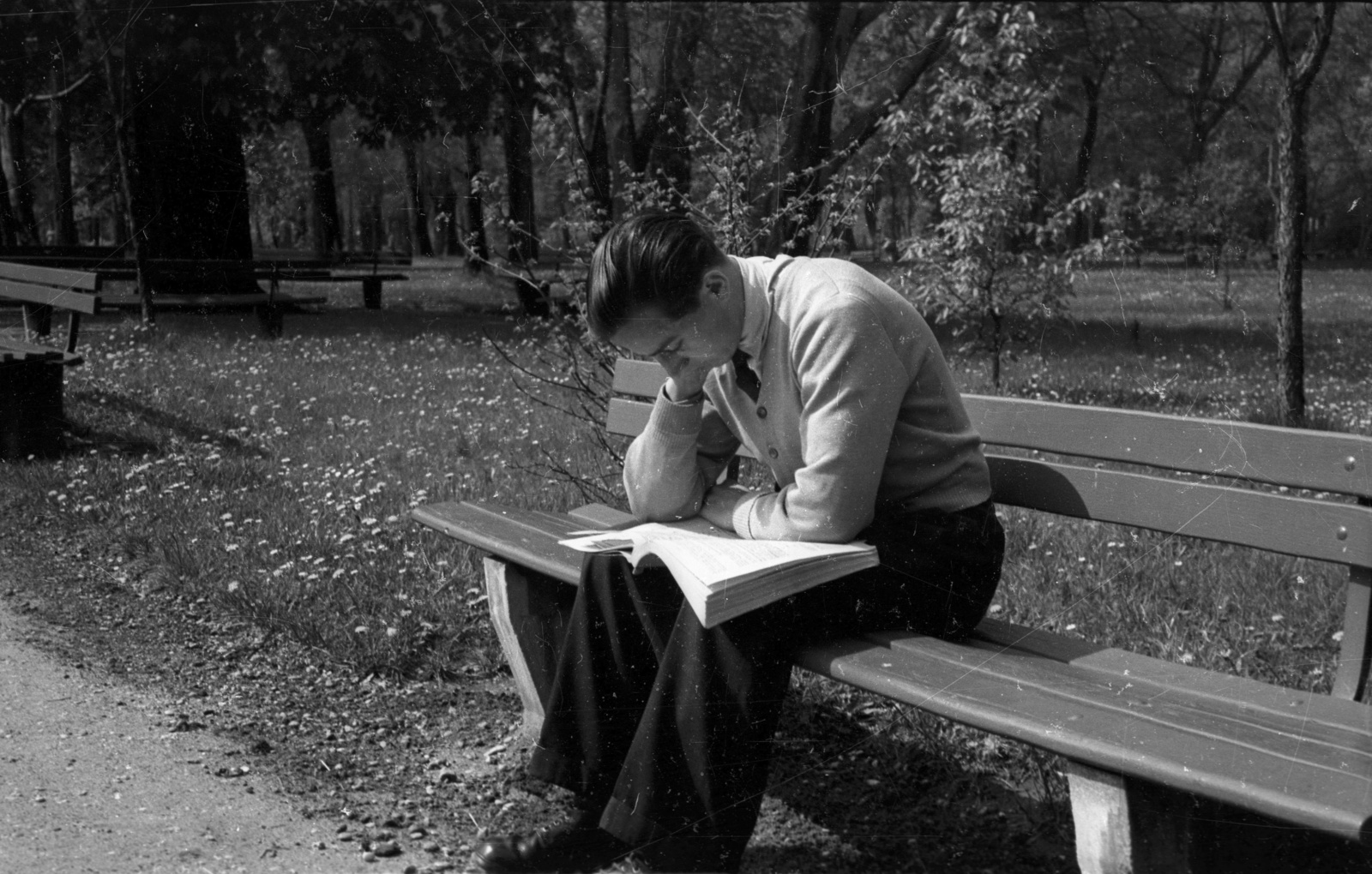 Hungary, Margit Islands, Budapest, 1957, FSZEK Budapest Gyűjtemény / Sándor György, Sándor György, reading, bench, Fortepan #117028