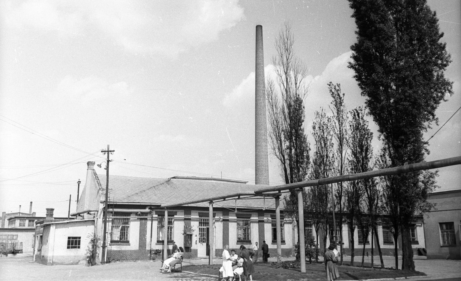 Hungary, Budapest IV., Károlyi István (Táncsics Mihály) utca 10., Duna Cipőgyár., 1959, FSZEK Budapest Gyűjtemény / Sándor György, Sándor György, Budapest, Fortepan #117072