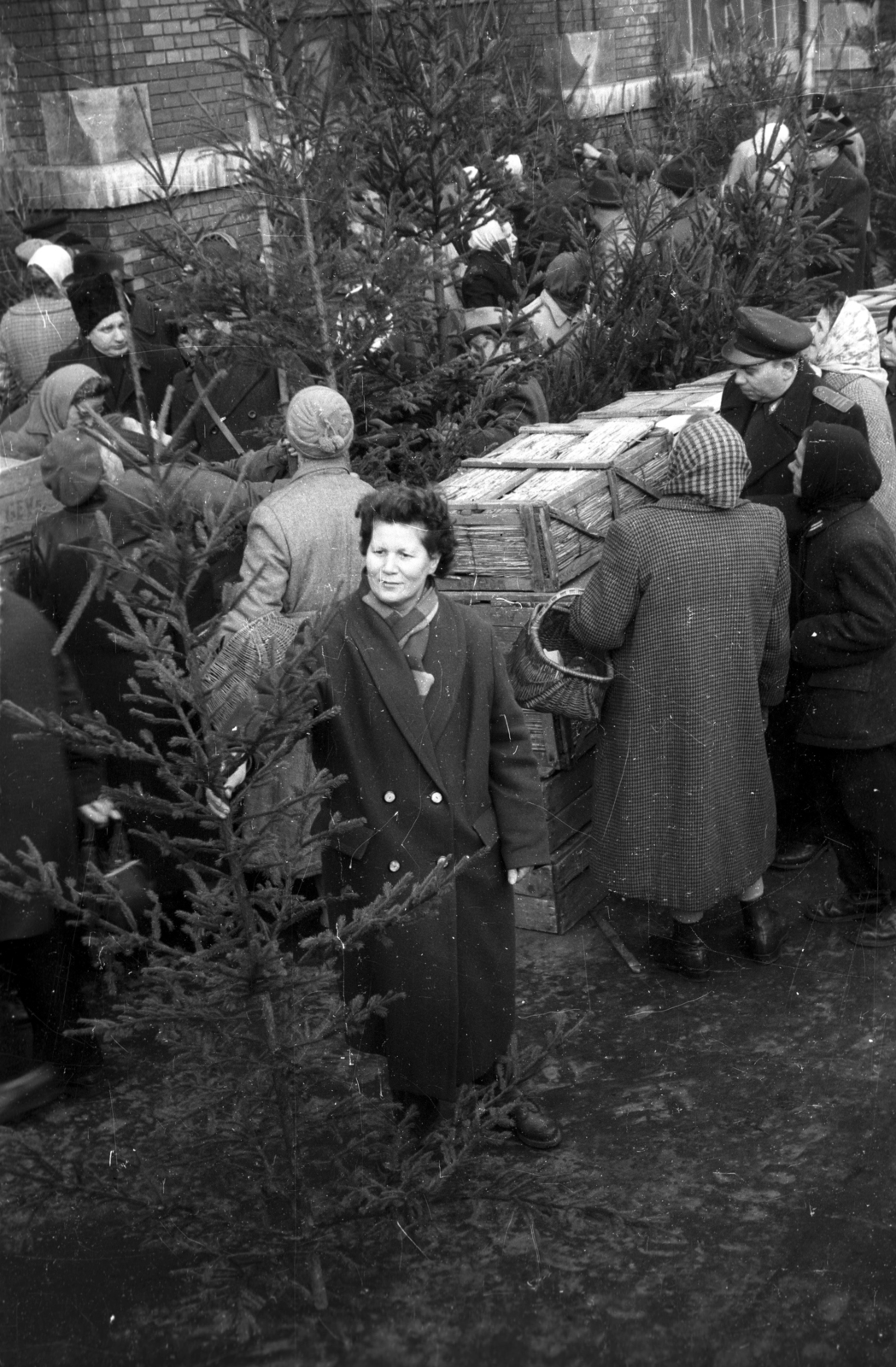 Hungary, Budapest IX., Csarnok tér, fenyőárus a Központi Vásárcsarnok előtt., 1959, FSZEK Budapest Gyűjtemény / Sándor György, Sándor György, christmas tree, Budapest, Fortepan #117122