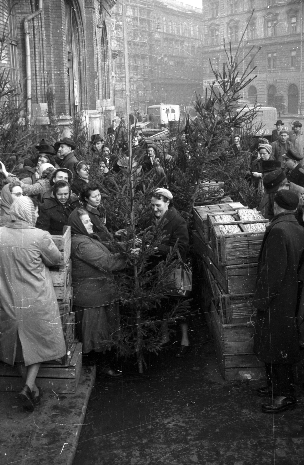 Magyarország, Budapest IX., Csarnok tér, fenyőárus a Központi Vásárcsarnok előtt., 1959, FSZEK Budapest Gyűjtemény / Sándor György, Sándor György, karácsonyfa, Budapest, Fortepan #117123