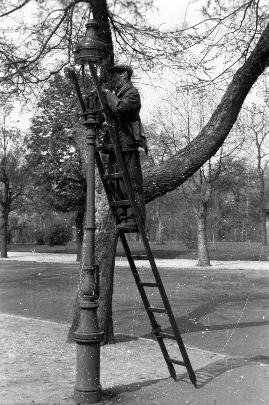 Magyarország, 1959, FSZEK Budapest Gyűjtemény / Sándor György, Sándor György, létra, lámpaoszlop, Fortepan #117152