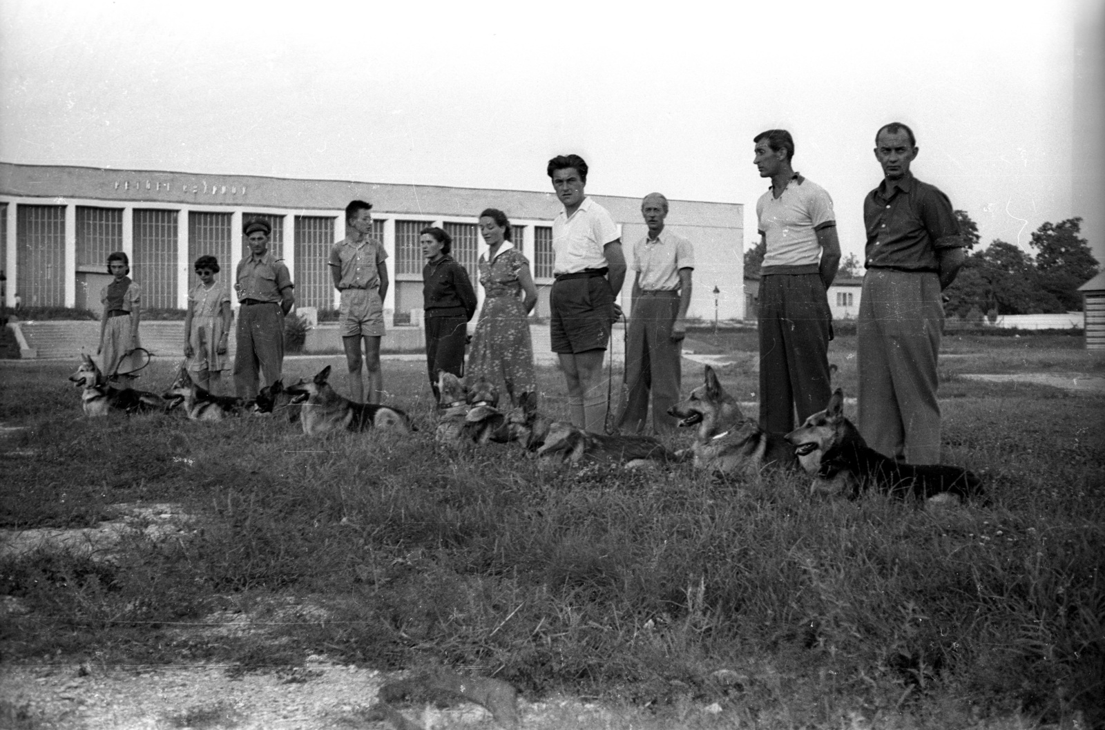 Magyarország, Városliget, Budapest XIV., kutyakiképzés, az egykori Iparcsarnok helyén kialakított kiállítási pavilon, a Petőfi Csarnok előtt., 1958, FSZEK Budapest Gyűjtemény / Sándor György, Sándor György, kutya, német juhászkutya, Budapest, kutyakiképzés, Fortepan #117175