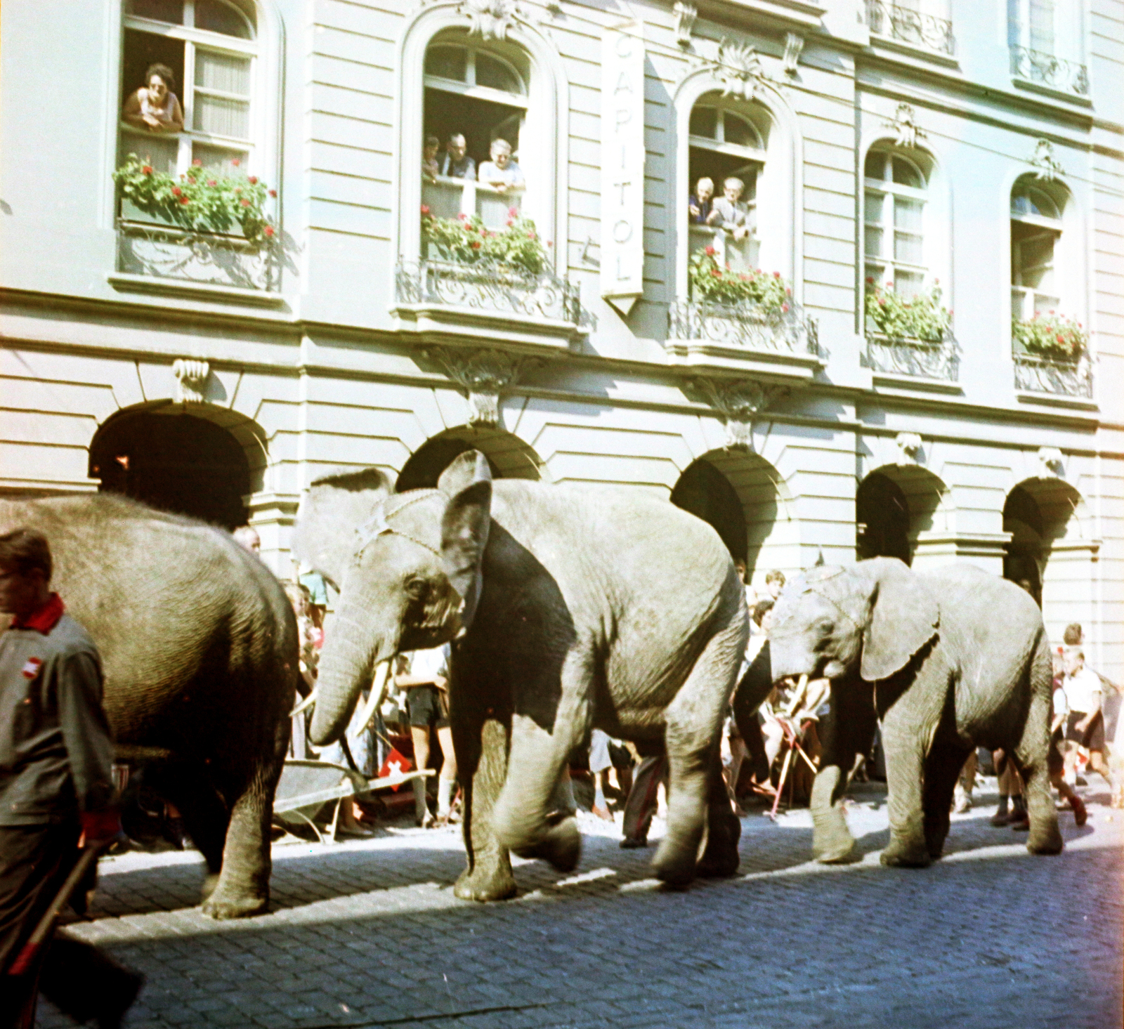 Switzerland, Bern, Kramgasse a Capitol mozi előtt., 1965, Aradi Péter, Szenczi Mária, colorful, elephant, Fortepan #117455