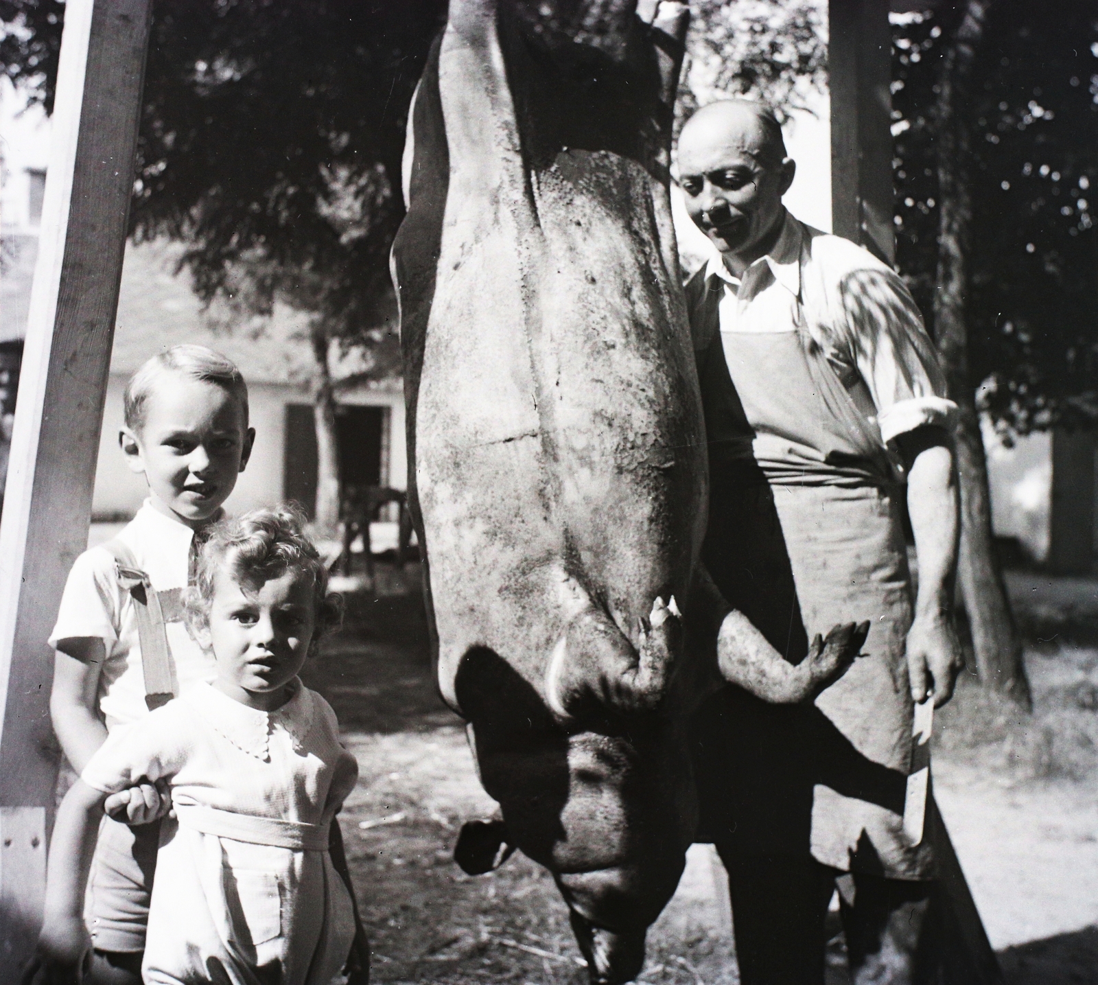 1936, Korbuly, állatvágás, Fortepan #117586