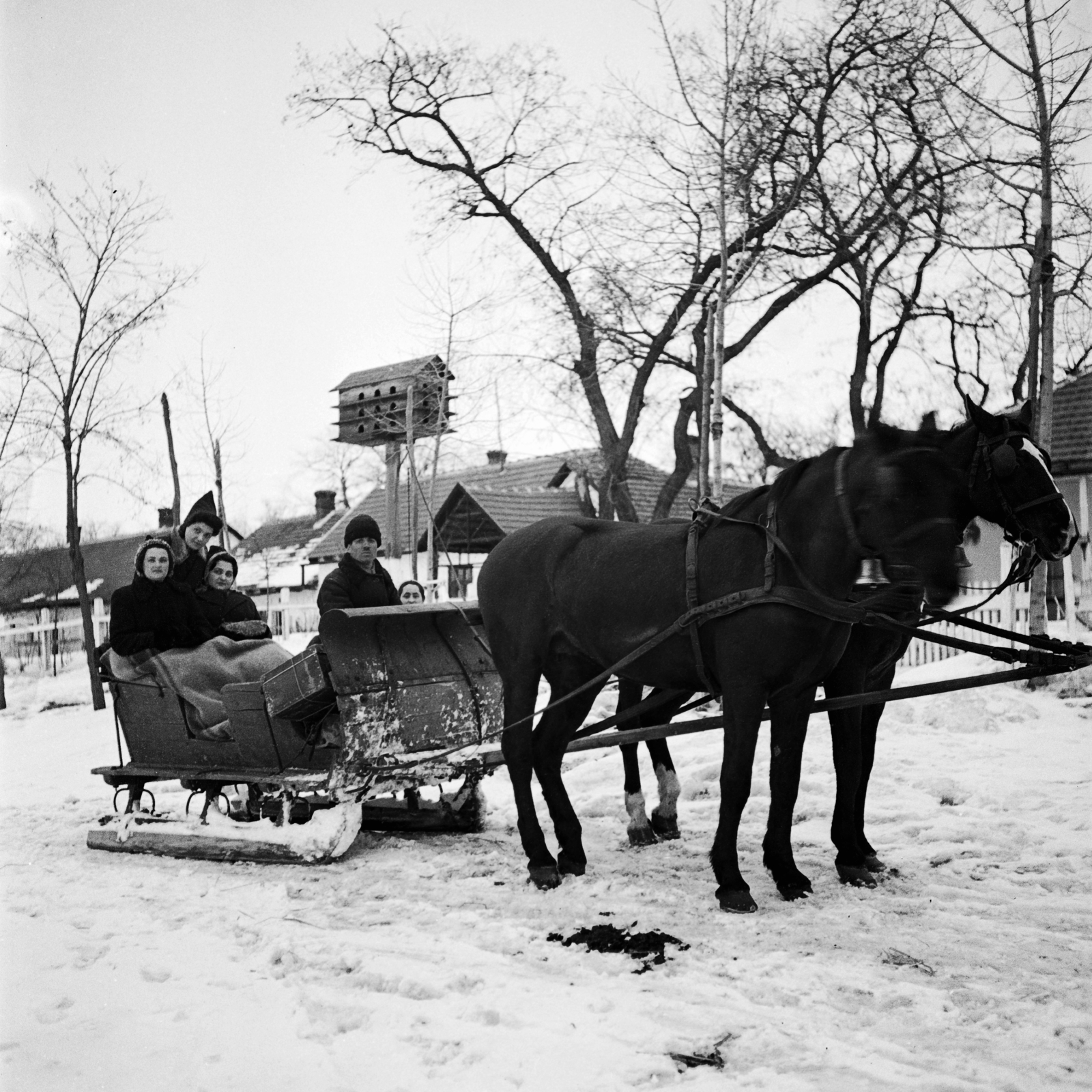 1939, Glázer Attila, dovecote, sleigh, Fortepan #117808