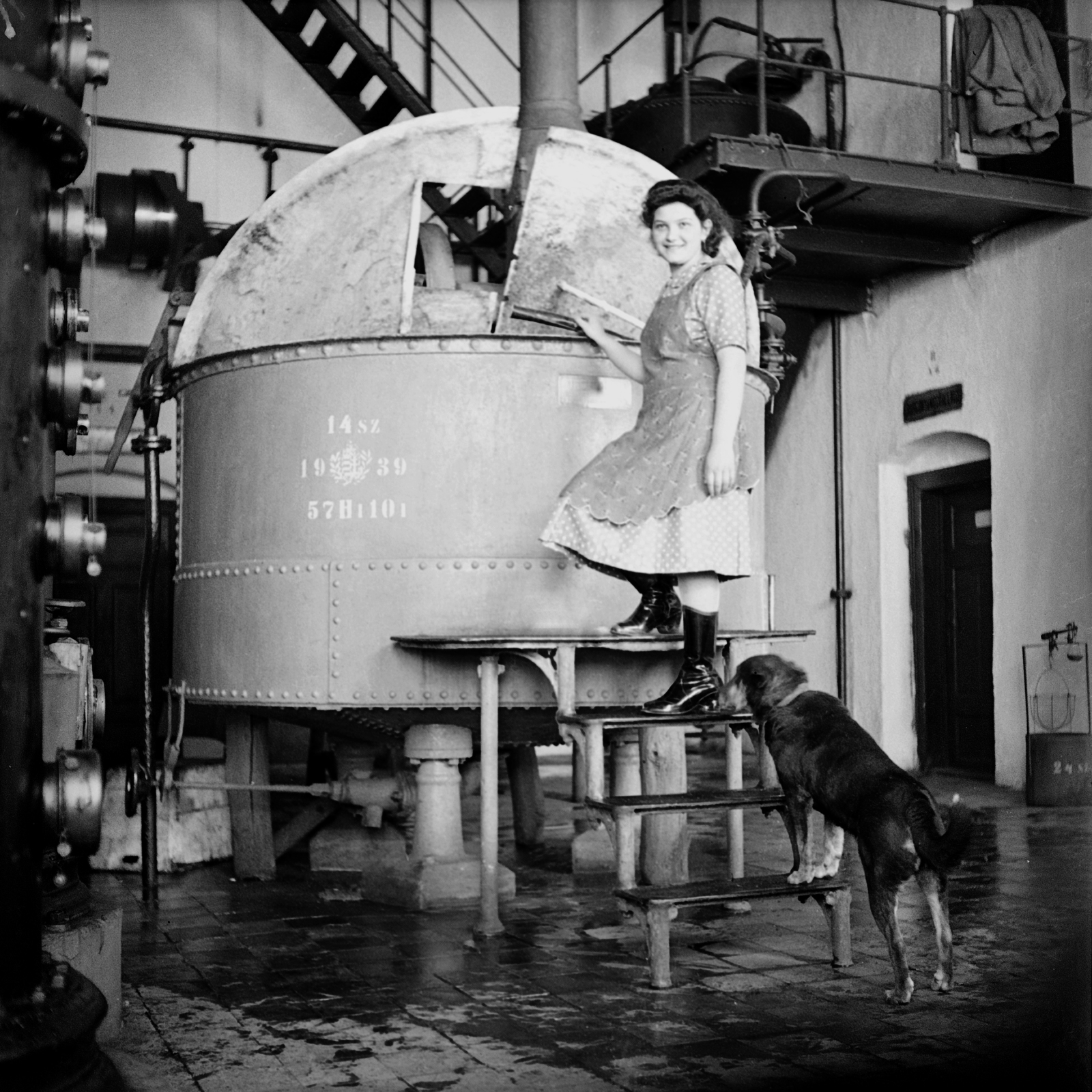 1939, Glázer Attila, dog, factory, stairs, crest, distillery, Fortepan #117810