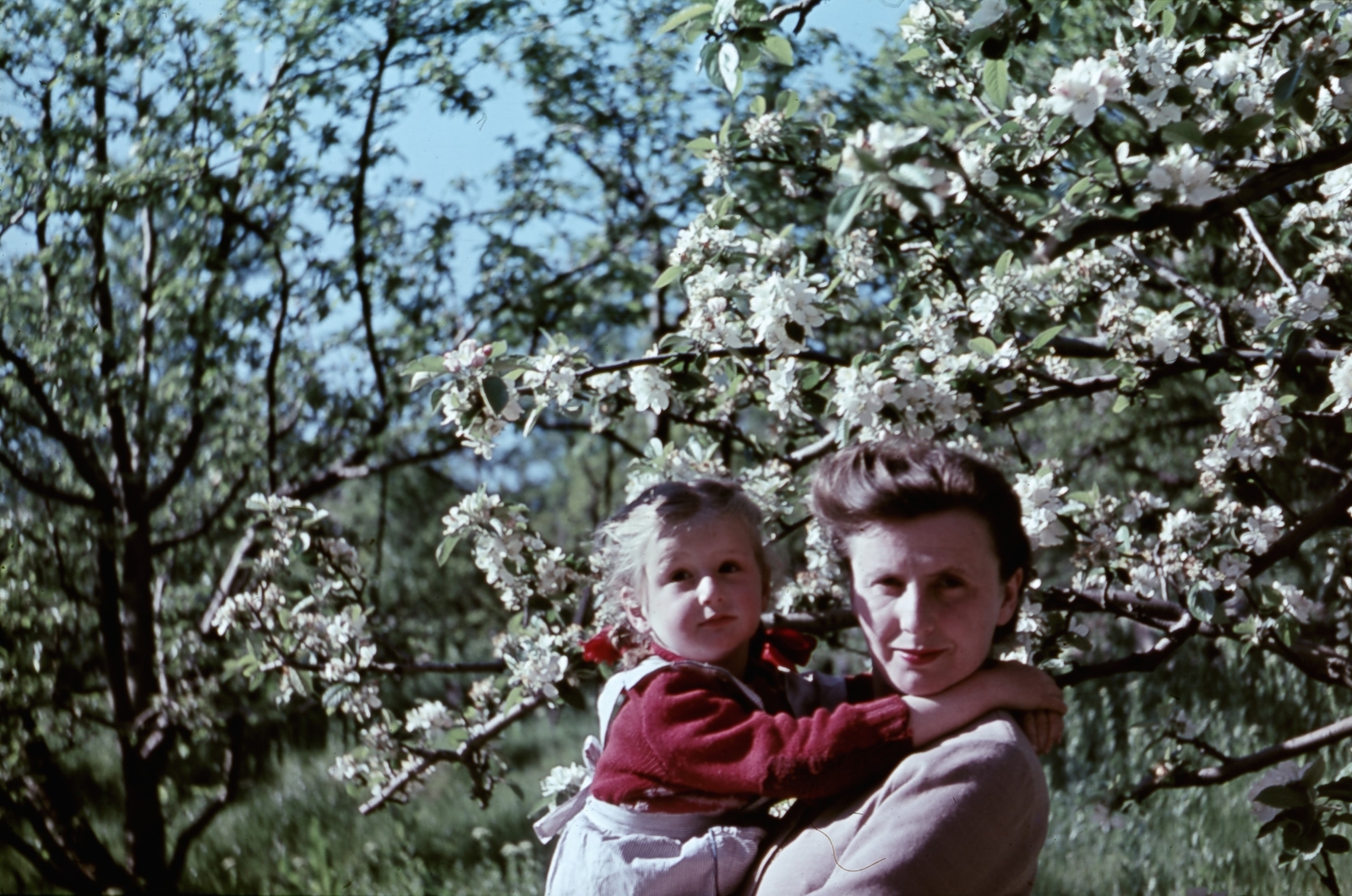 1954, Glázer Attila, ribbon, braid, blossoming, kid, mother, colorful, Fortepan #117838
