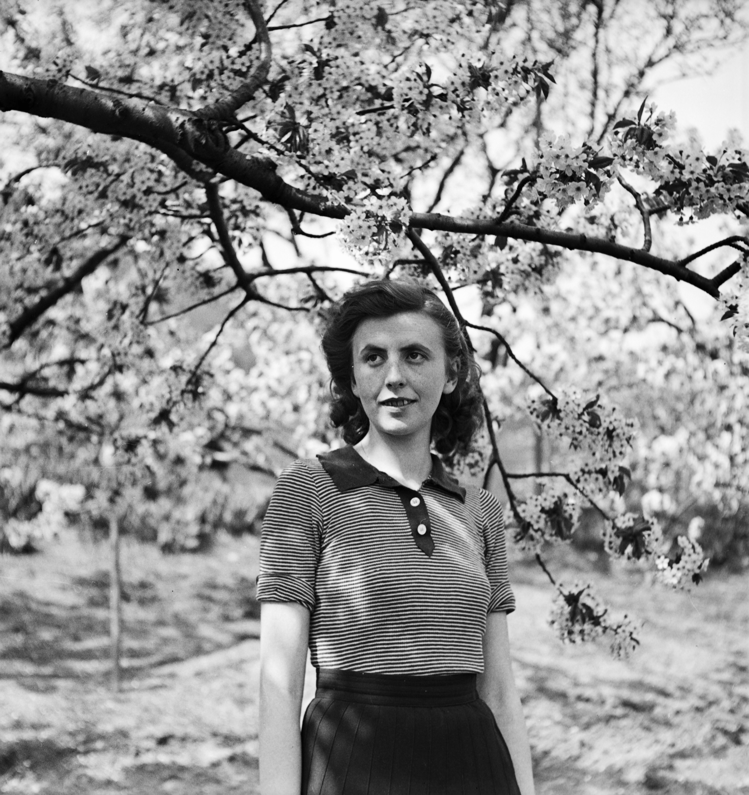 1949, Glázer Attila, lady, portrait, spring, wood, knitwear, Fortepan #117937