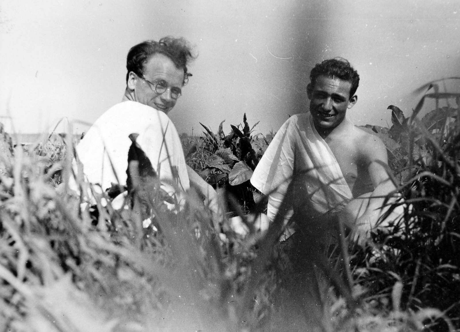 1931, Gádoros Lajos, men, field, summer, looking back, Fortepan #11796