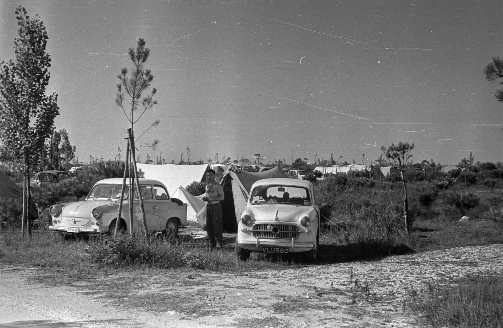 1965, Fortepan/Album013, Trabant-brand, Fiat-brand, tent, number plate, Fortepan #118164