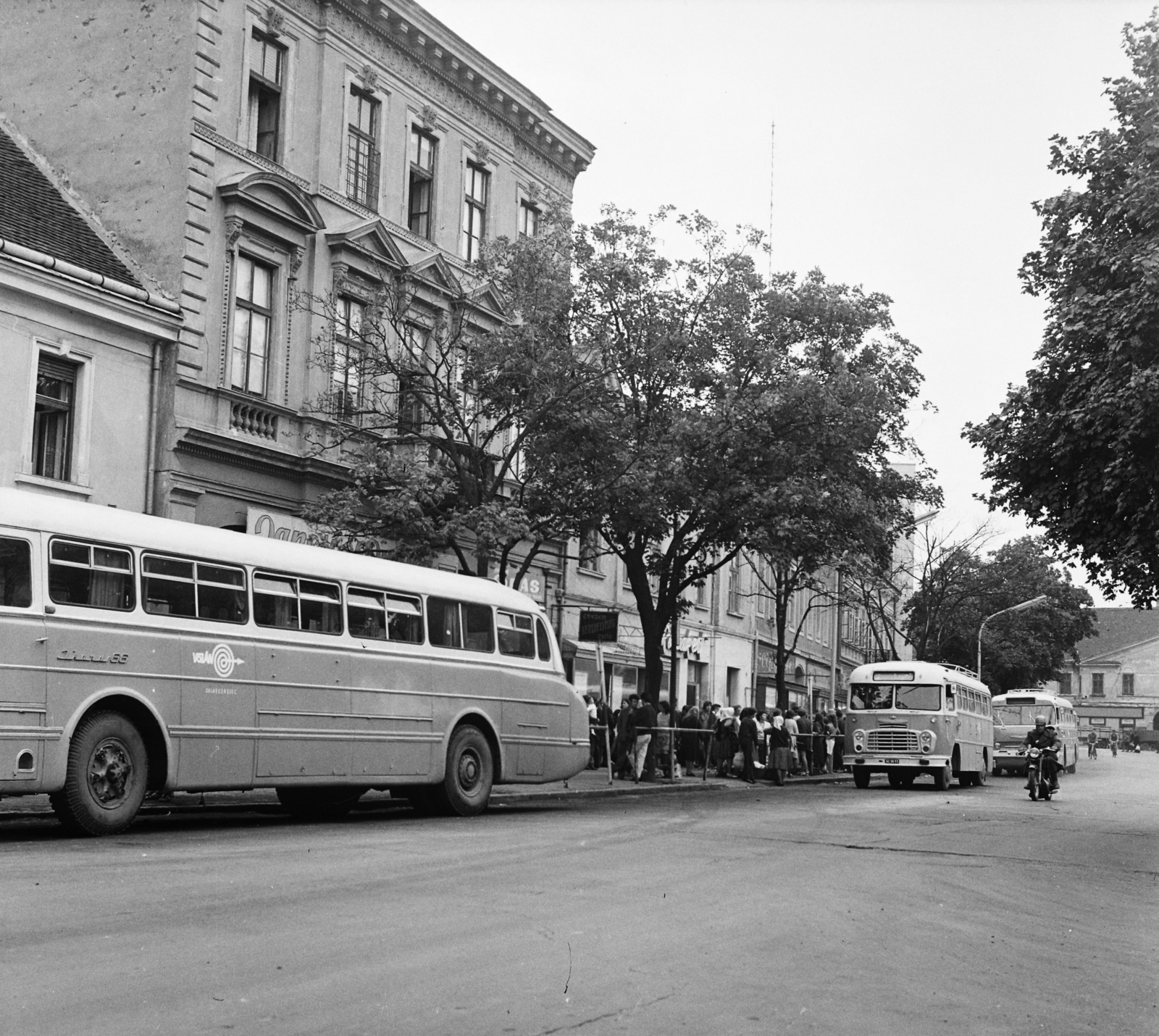 Hungary, Nagykanizsa, Erzsébet (Szabadság) tér., 1971, MHSZ, bus, Ikarus-brand, Volán organisation, Fortepan #118296
