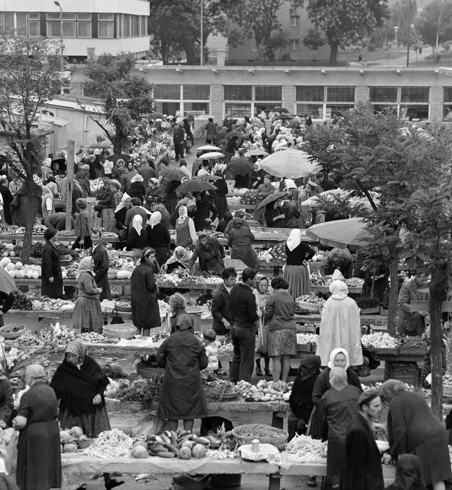Hungary, Nagykanizsa, piactér., 1971, MHSZ, market, Fortepan #118320