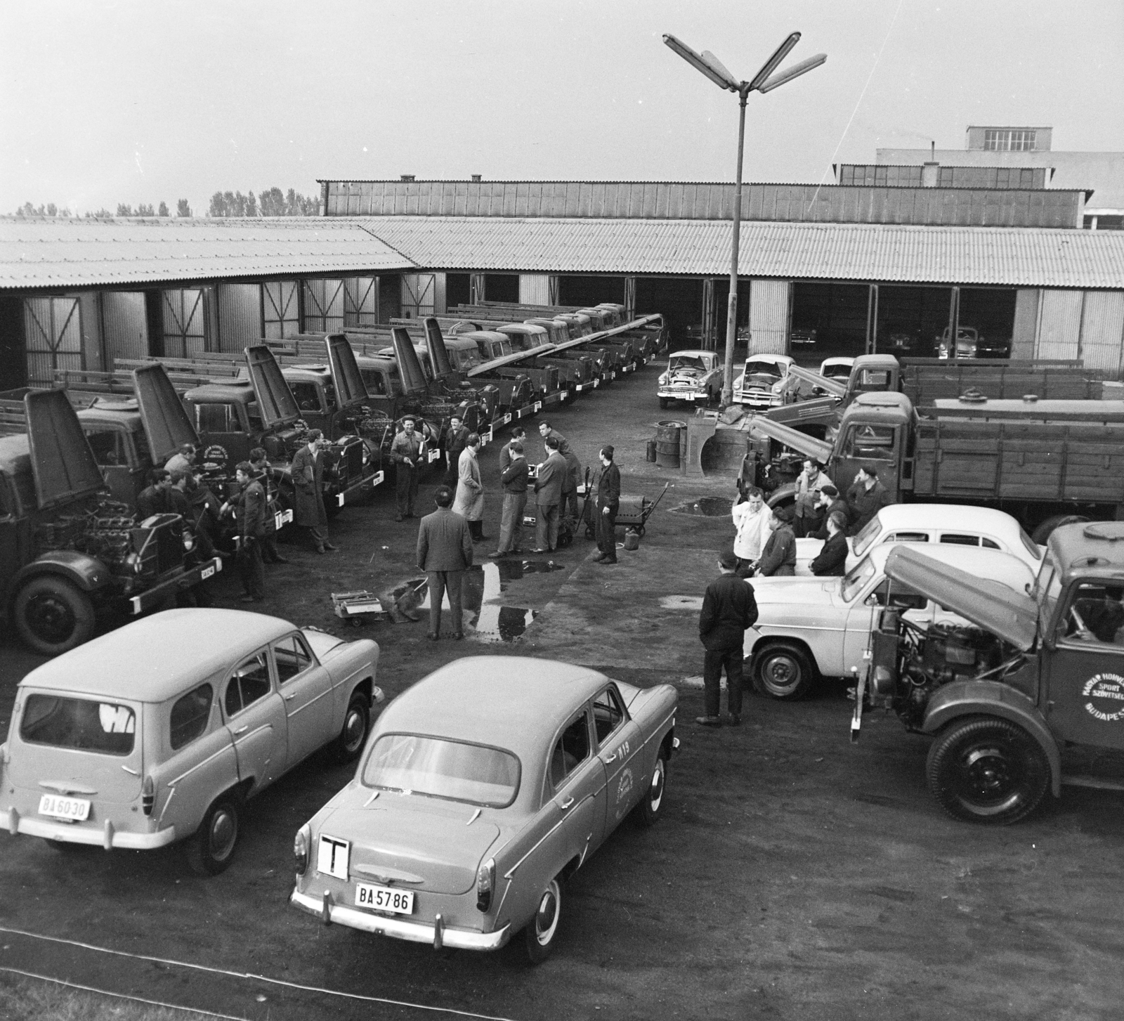 Magyarország, Budapest XIII., Dagály utca 11., MHS (Magyar Honvédelmi Sportszövetség) központi gépjármű telep, Budapesti Gépkocsivezetőképző Iskola., 1964, MHSZ, rendszám, Moszkvics-márka, Budapest, telephely, tanuló vezető, Moszkvics 407, Moszkvics 423, Fortepan #118332