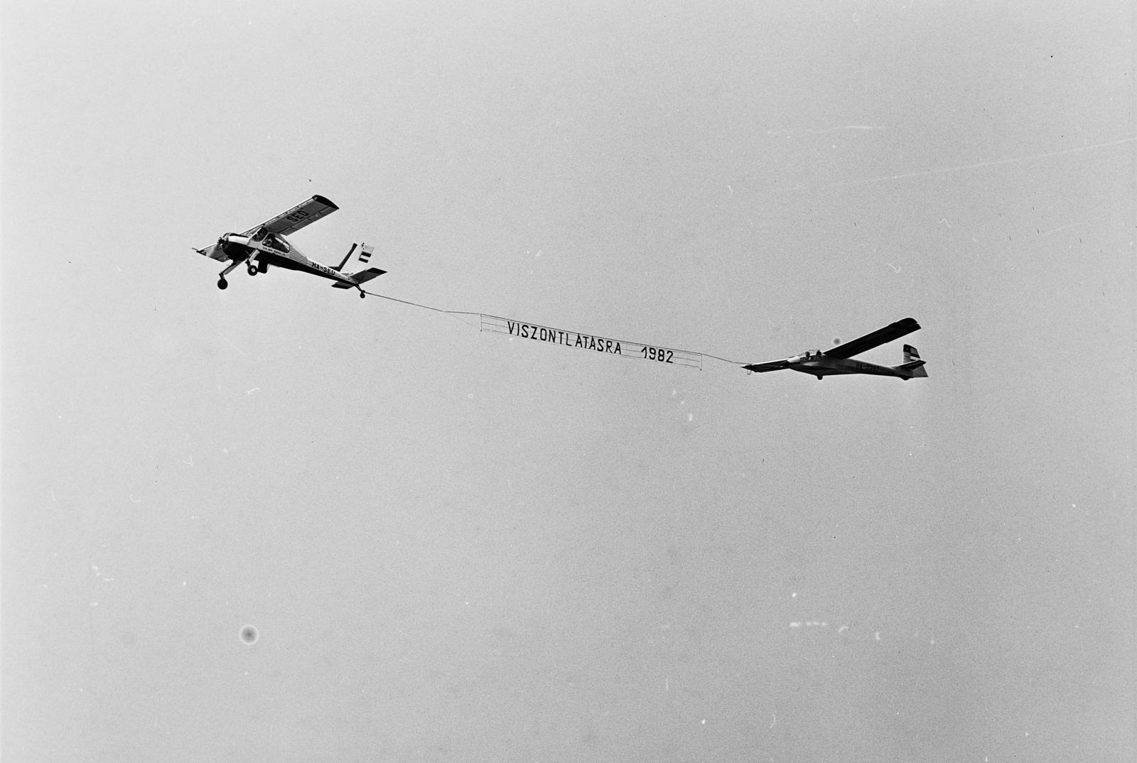 1981, MHSZ, airplane, sailplane, registration mark, Fortepan #118414