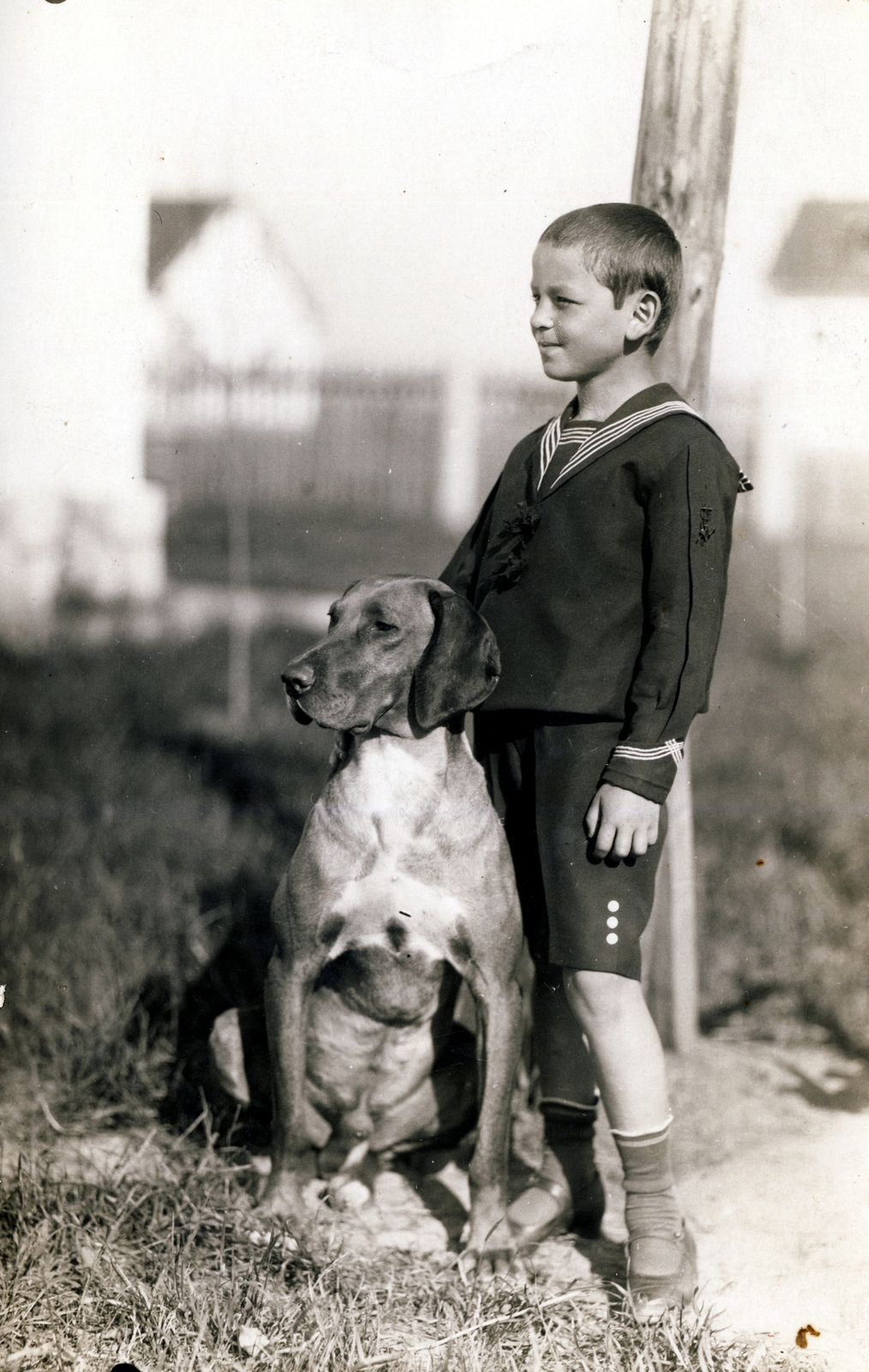 1925, Gál Mihály, dog, boy, sailor dress, portrait, kid, Fortepan #118511